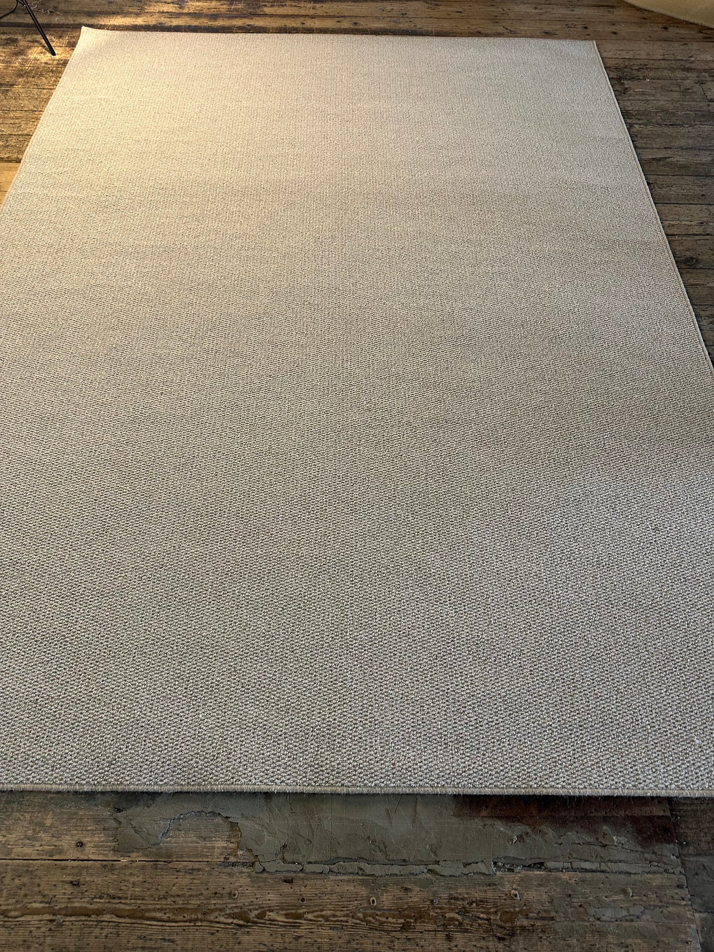 Mushroom 100% wool rug 221cm x 300cm
