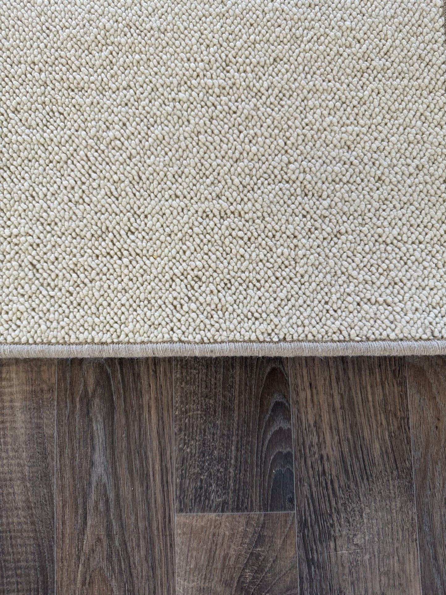 Blanc ivorie 100% wool rug 238cm x 350cm