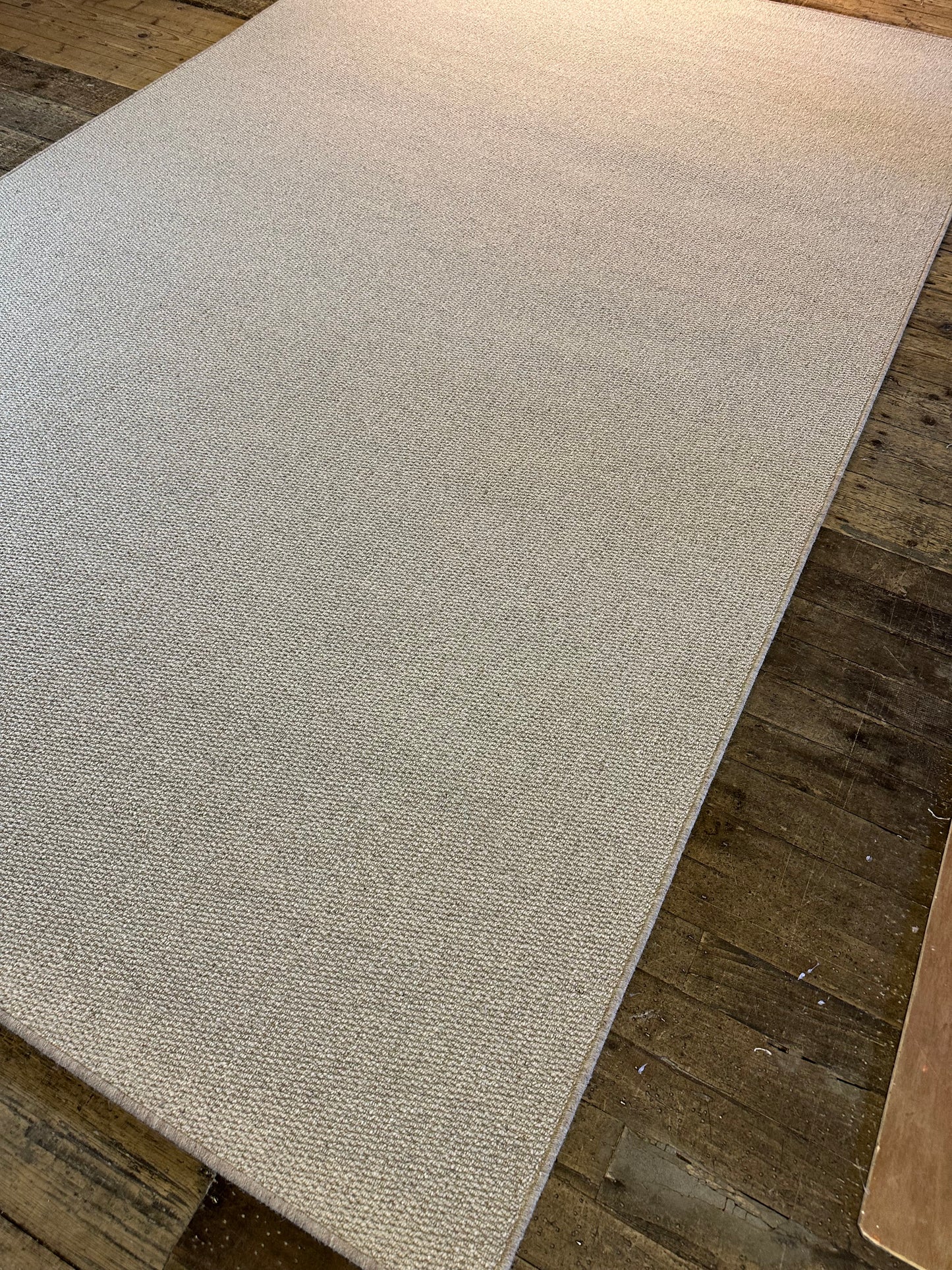 Oatcake 100% wool rug 210cm x 347cm