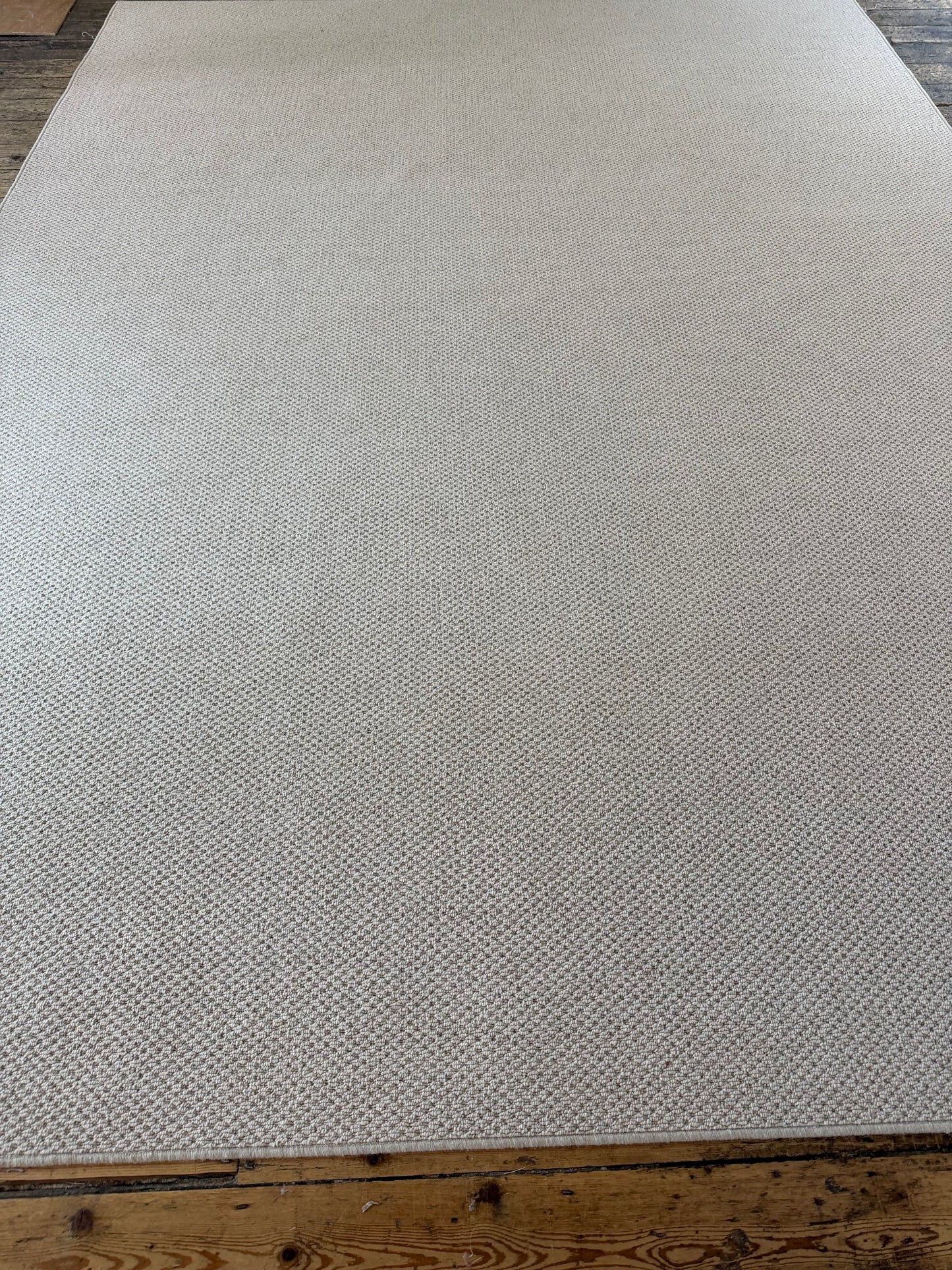 Oxford tone 100% wool rug 290cm x 400cm