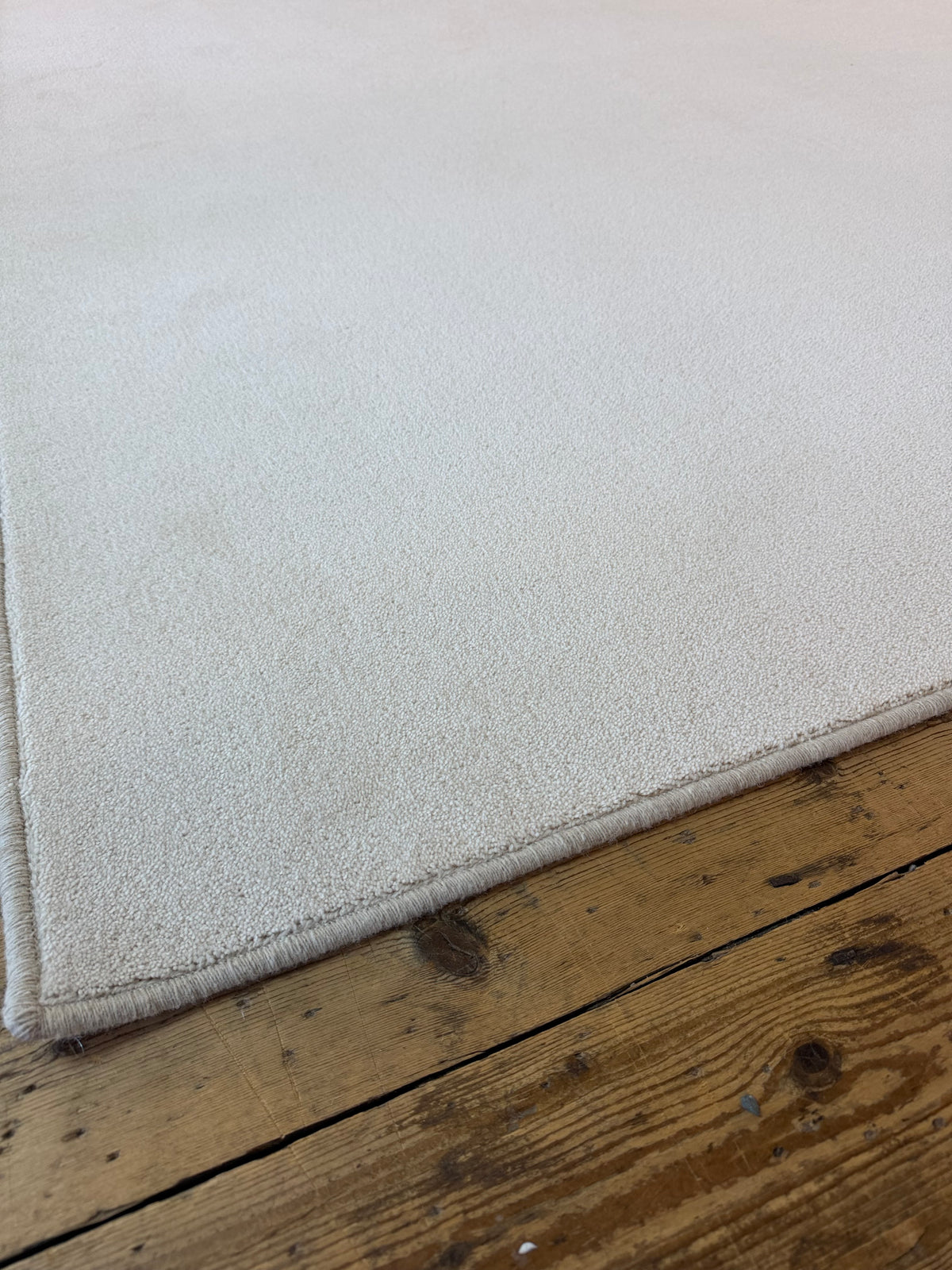 Shell 80/20 wool twist rug 256cm x 300cm