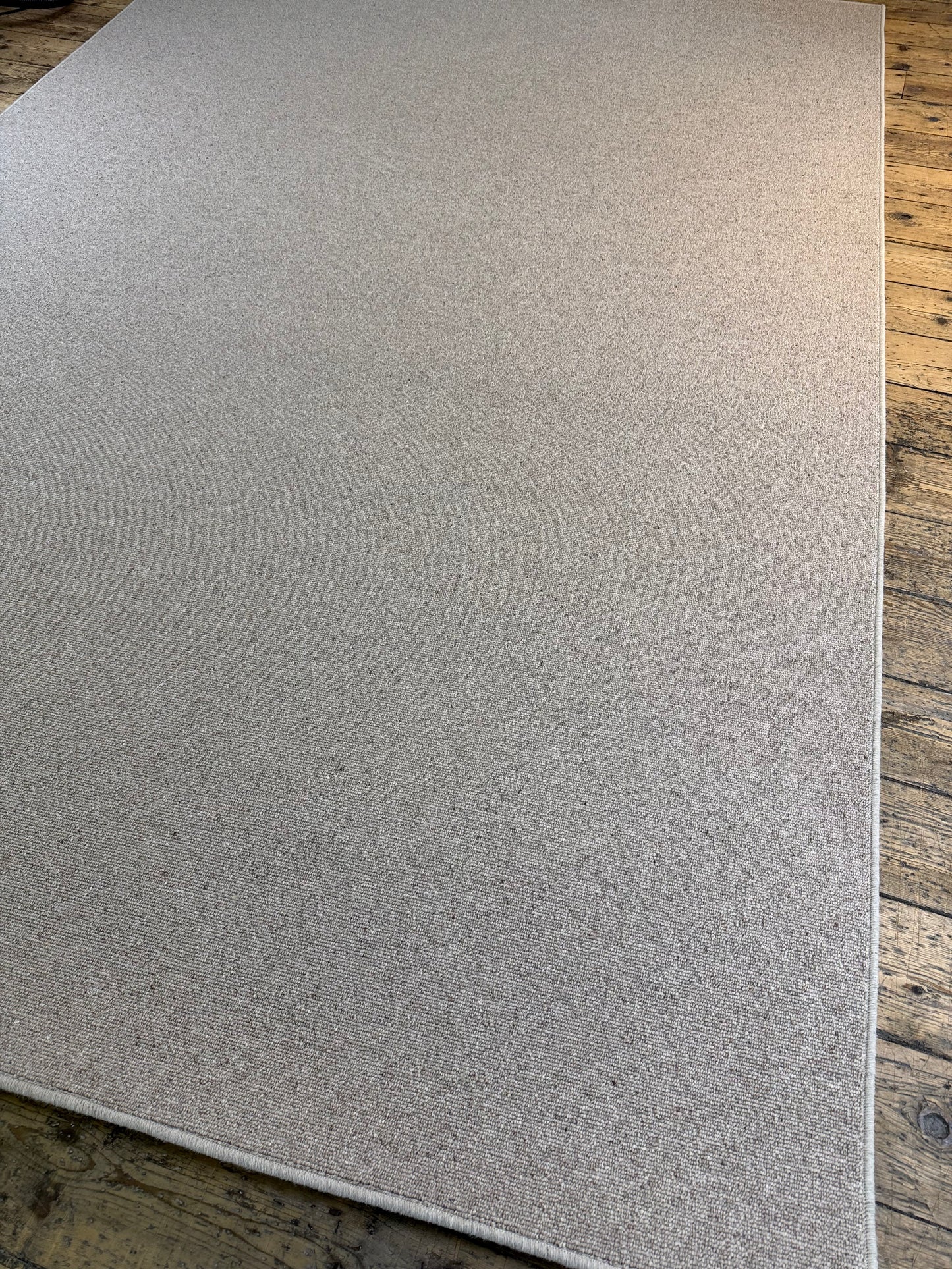 Biscotti 100% wool rug 220cm x 320cm