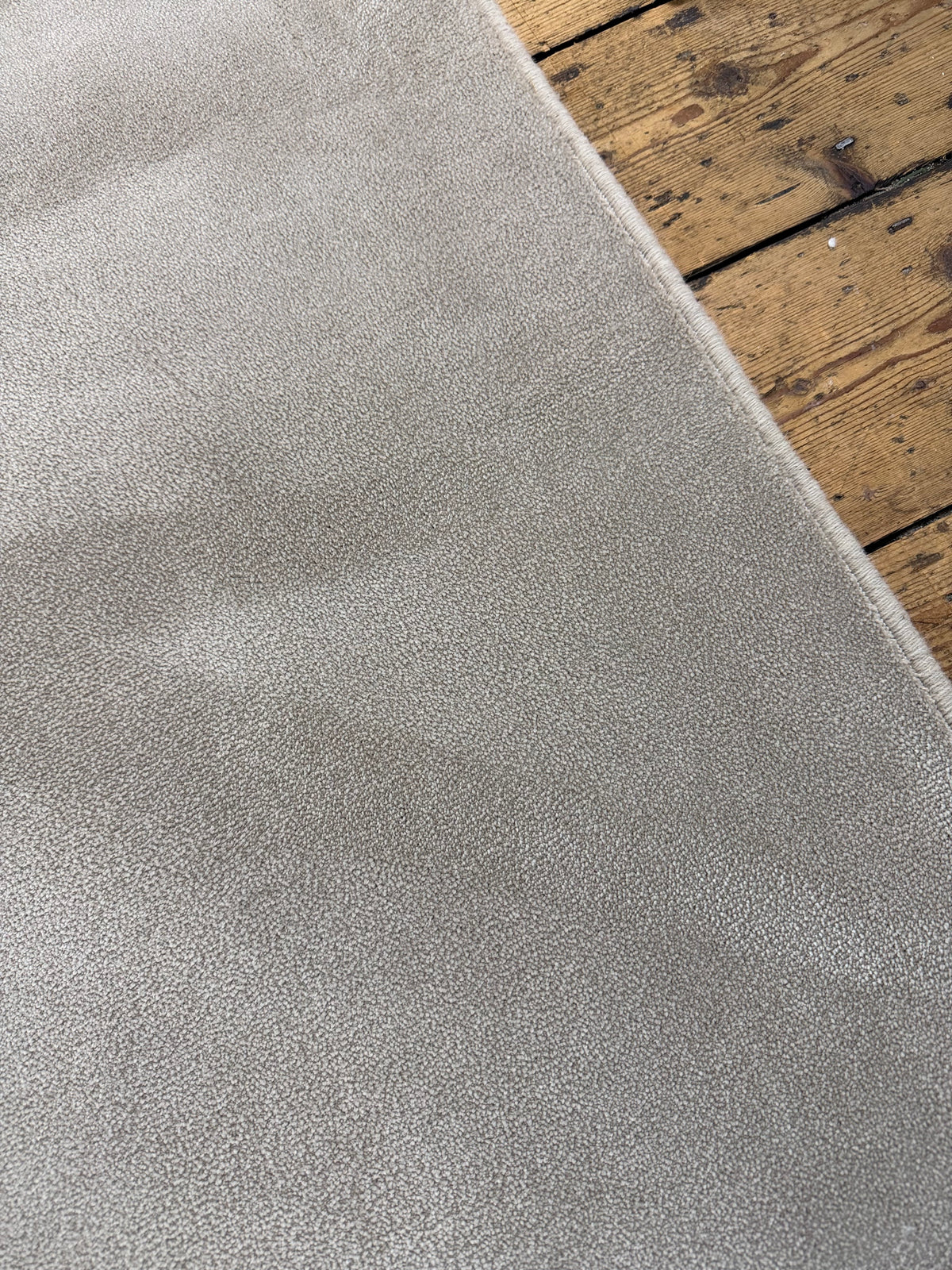 Mushroom silk 100% polypropylene rug 260cm x 360cm