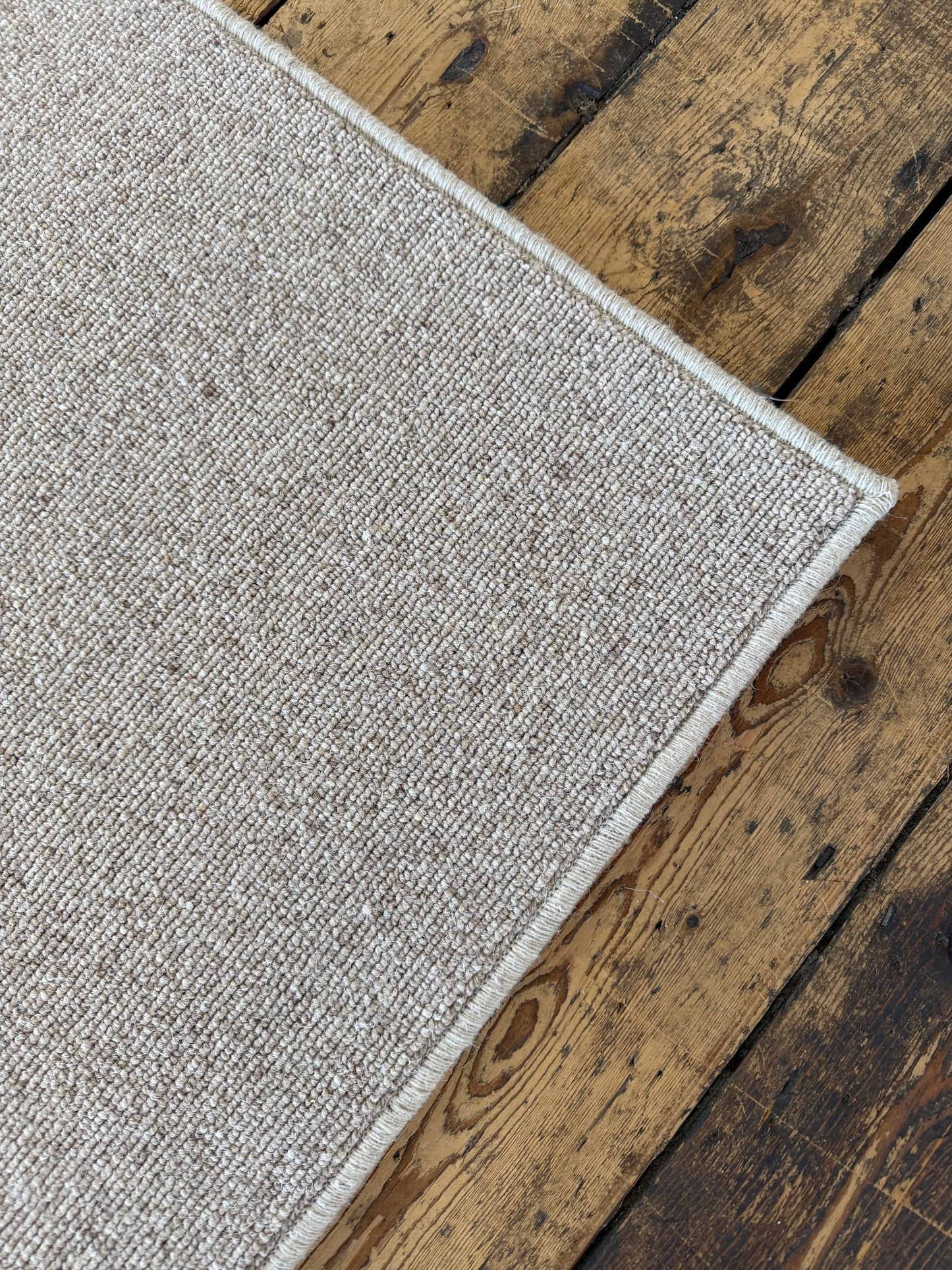 Biscotti 100% wool rug 230cm x 374cm