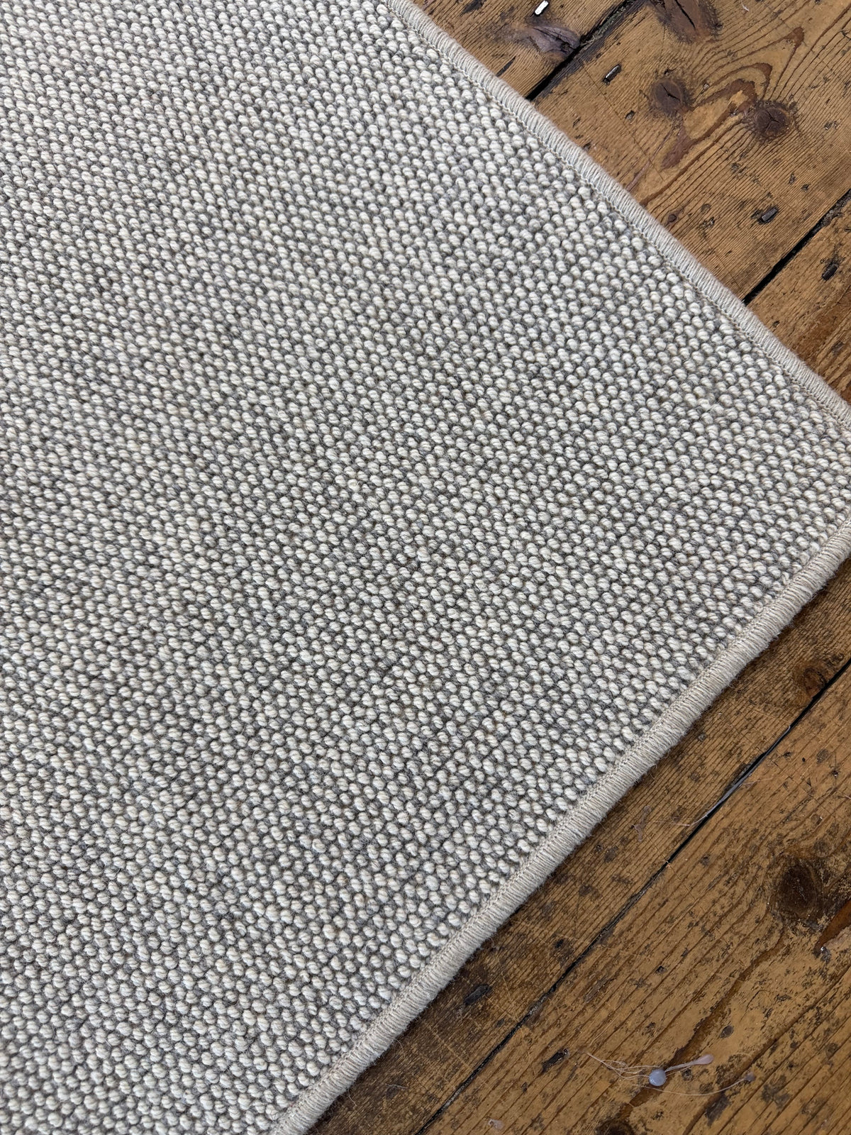 Coastal 100% wool rug 292cm x 400cm