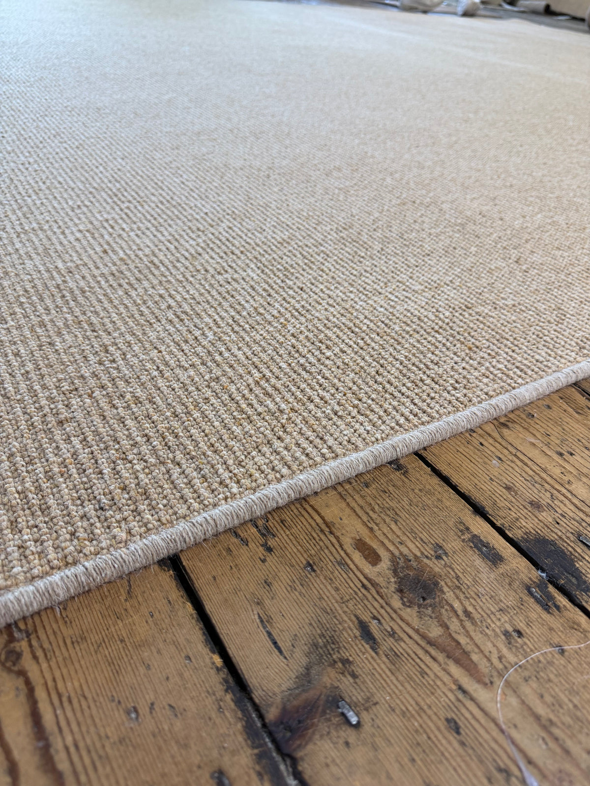 Wild ginger 100% wool rug 273cm x 370cm