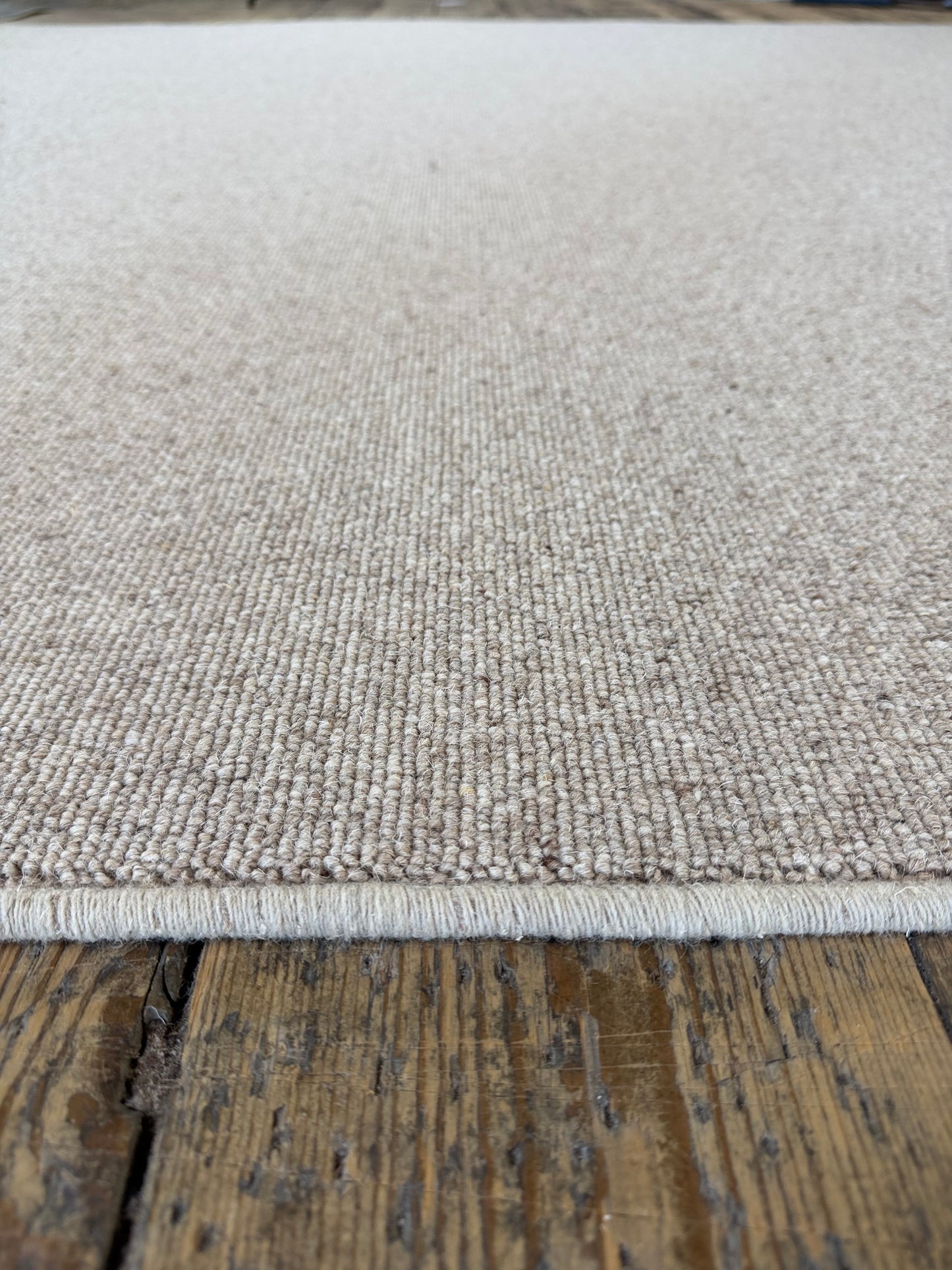 Biscotti 100% wool rug 230cm x 374cm