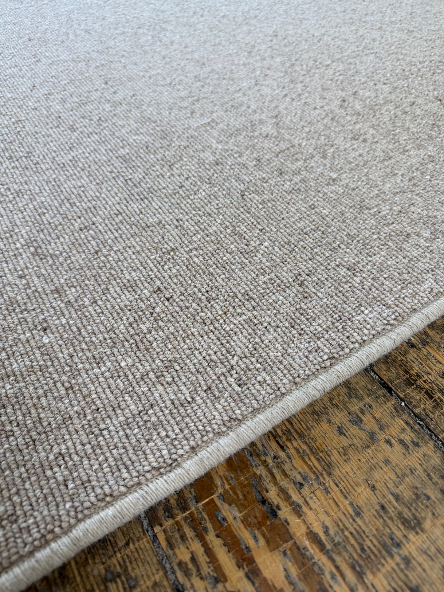 Biscotti 100% wool rug 230cm x 374cm