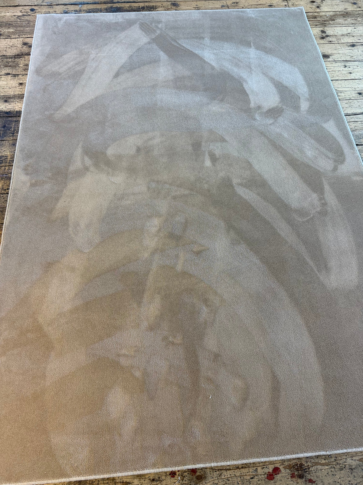 Cashmere 100% polypropylene rug 178cm x 259cm