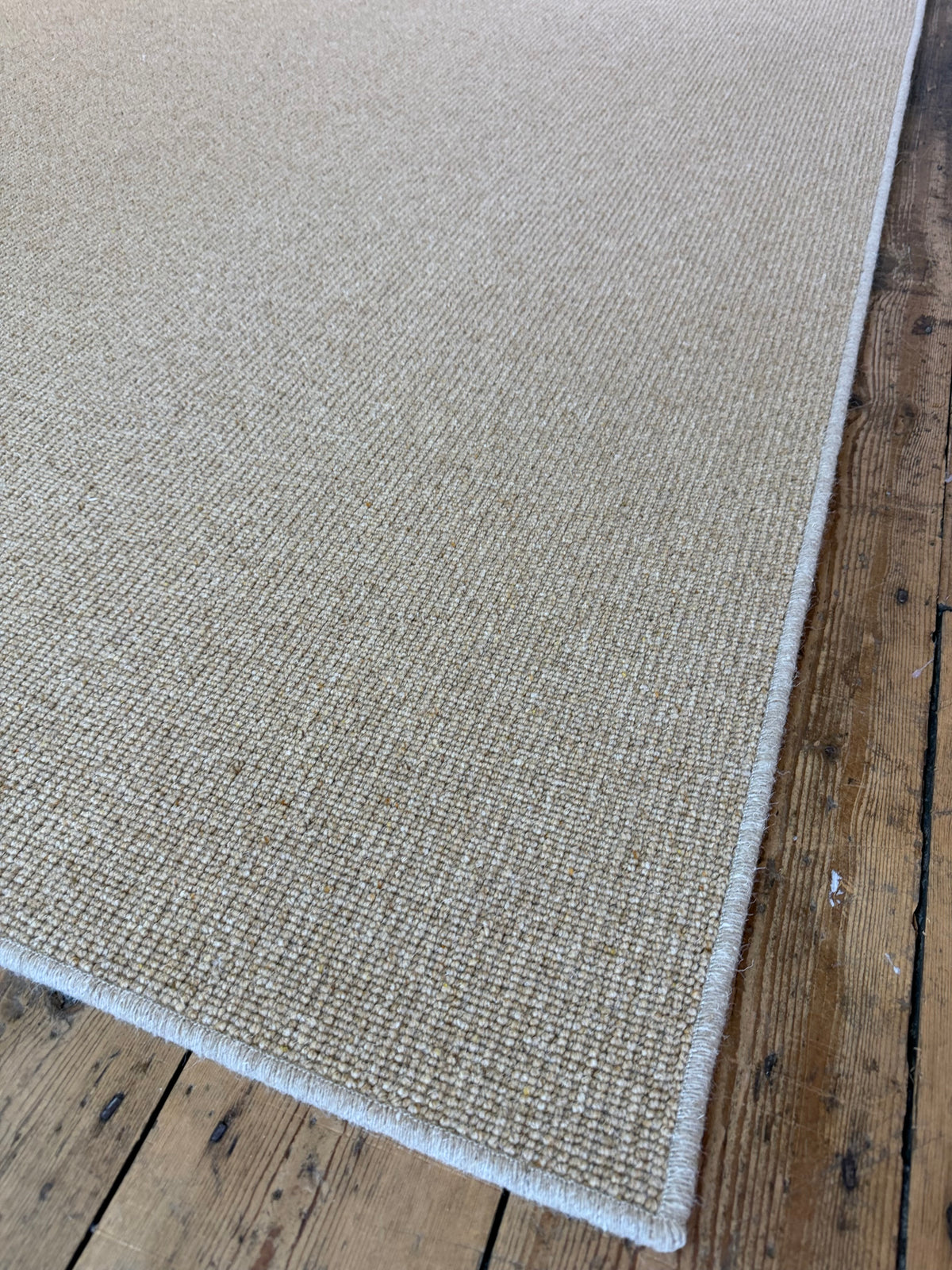 Wild ginger 100% wool rug 273cm x 370cm