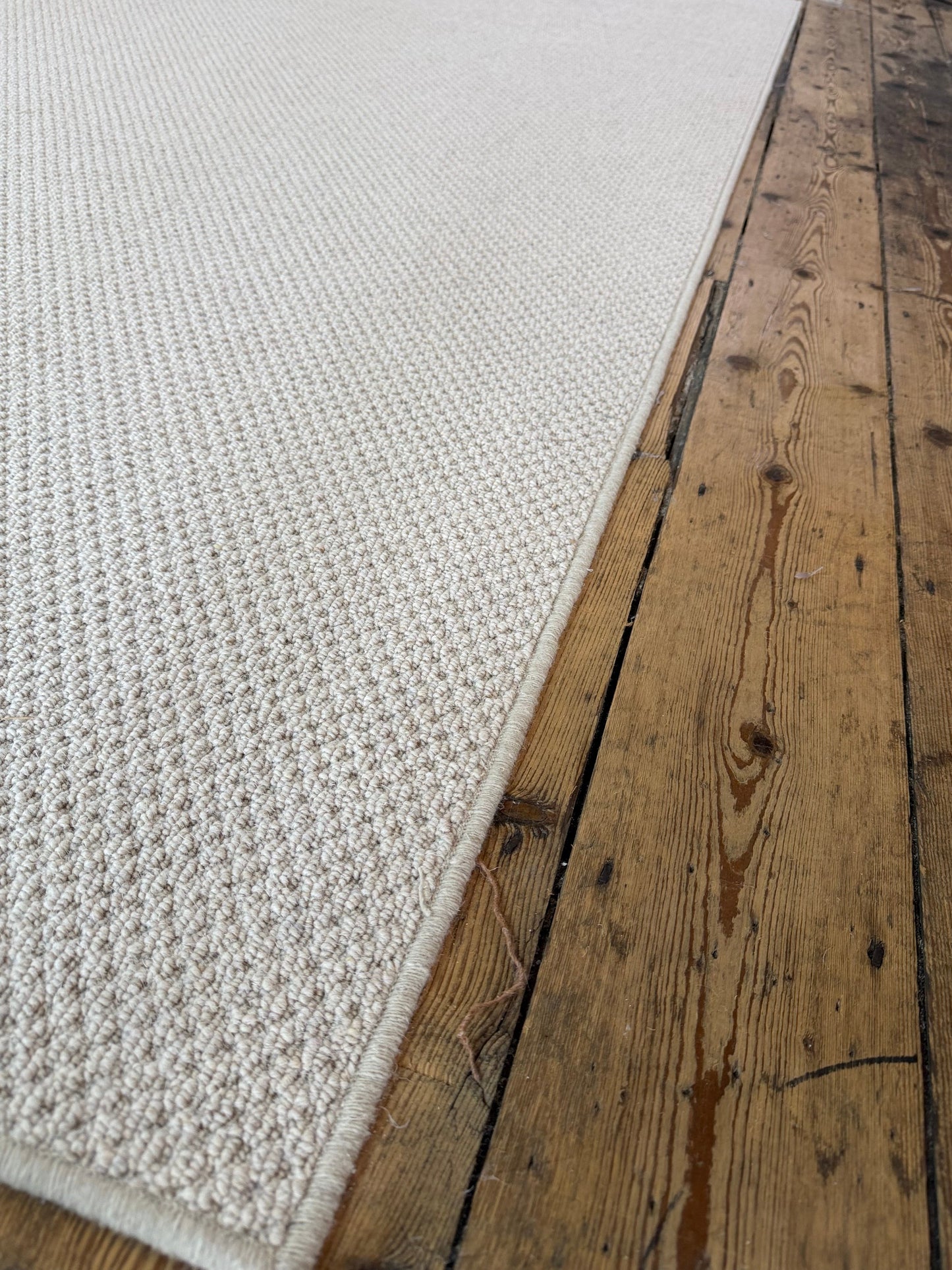 Oxford tone 100% wool rug 290cm x 400cm