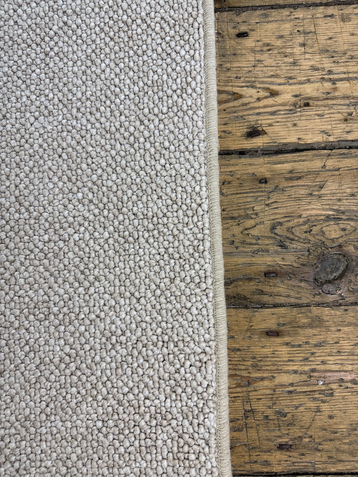 Oyster 100% polypropylene rug 199cm x 300cm