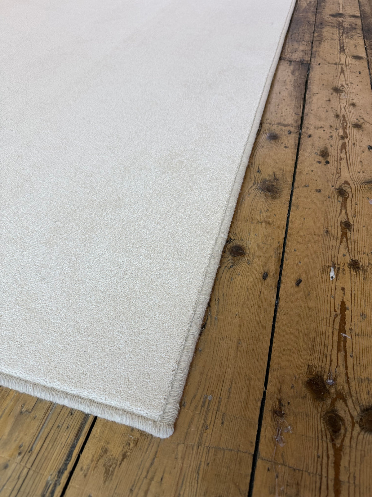 Shell 80/20 wool twist rug 200cm x 247cm