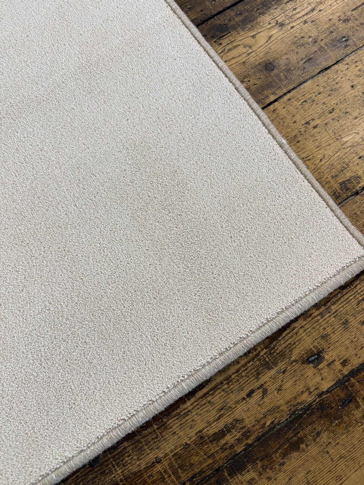 Shell 80/20 wool twist rug 200cm x 247cm