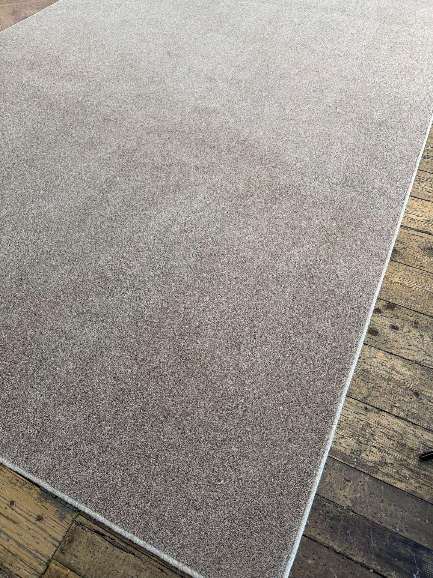 Hickory 80/20 wool rug 236cm x 336cm