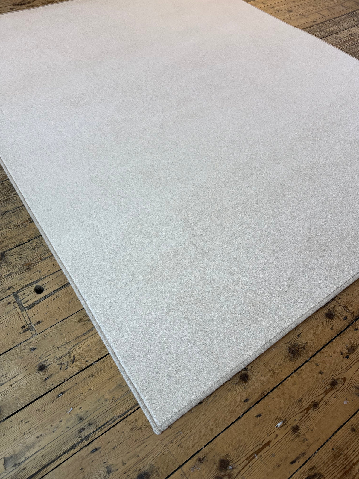Shell 80/20 wool twist rug 200cm x 247cm
