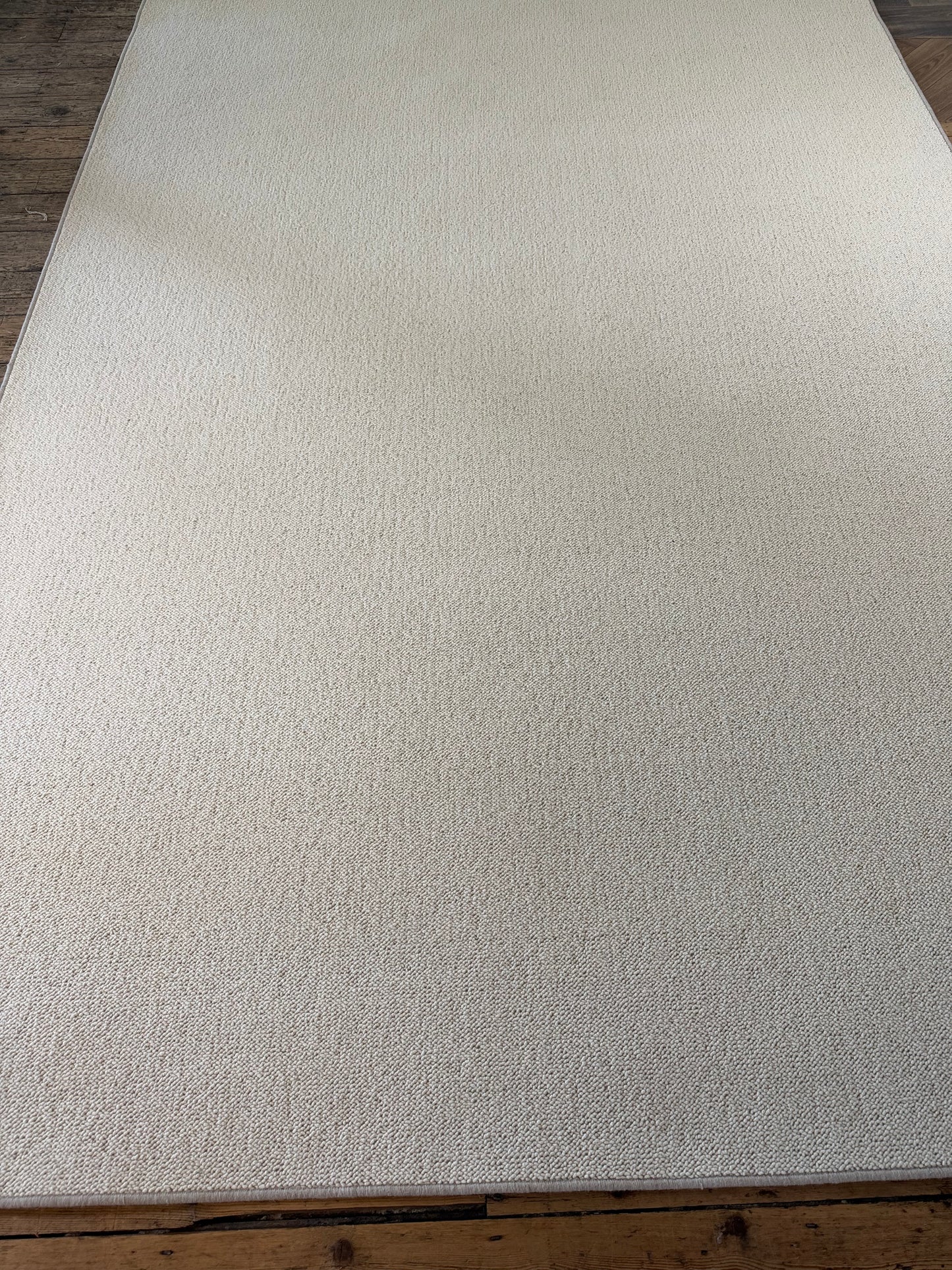 Blanc ivorie 100% wool rug 238cm x 350cm