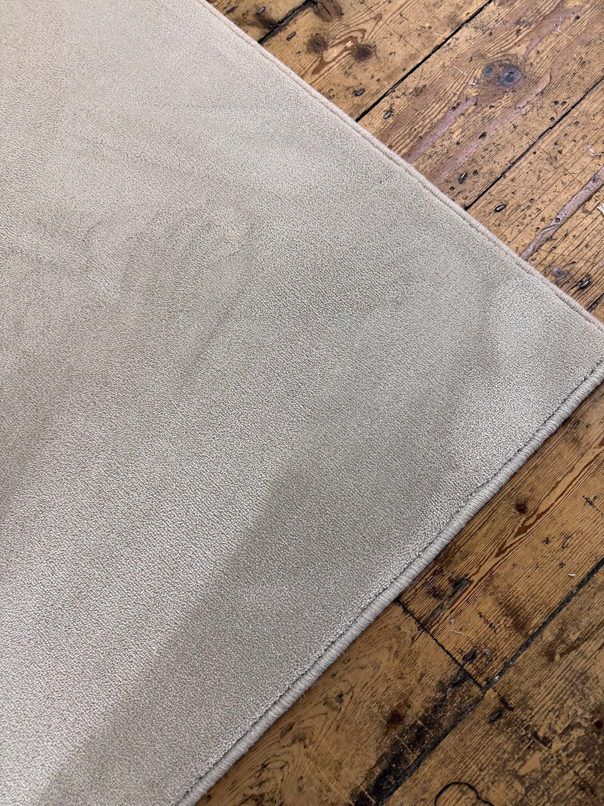 Oyster 100% polypropylene rug 275cm x 287cm