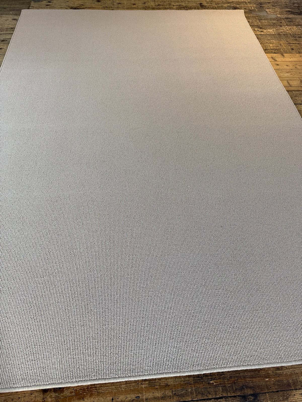 Champagne 100% wool rug 210cm x 300cm