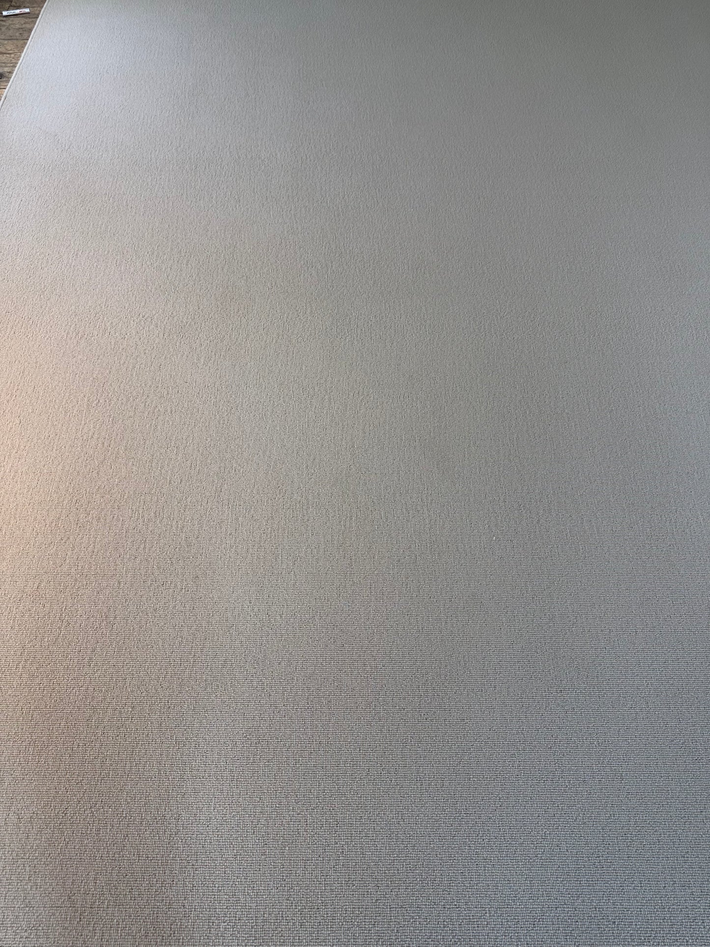 Driftwood 100% wool rug 268cm x 377cm