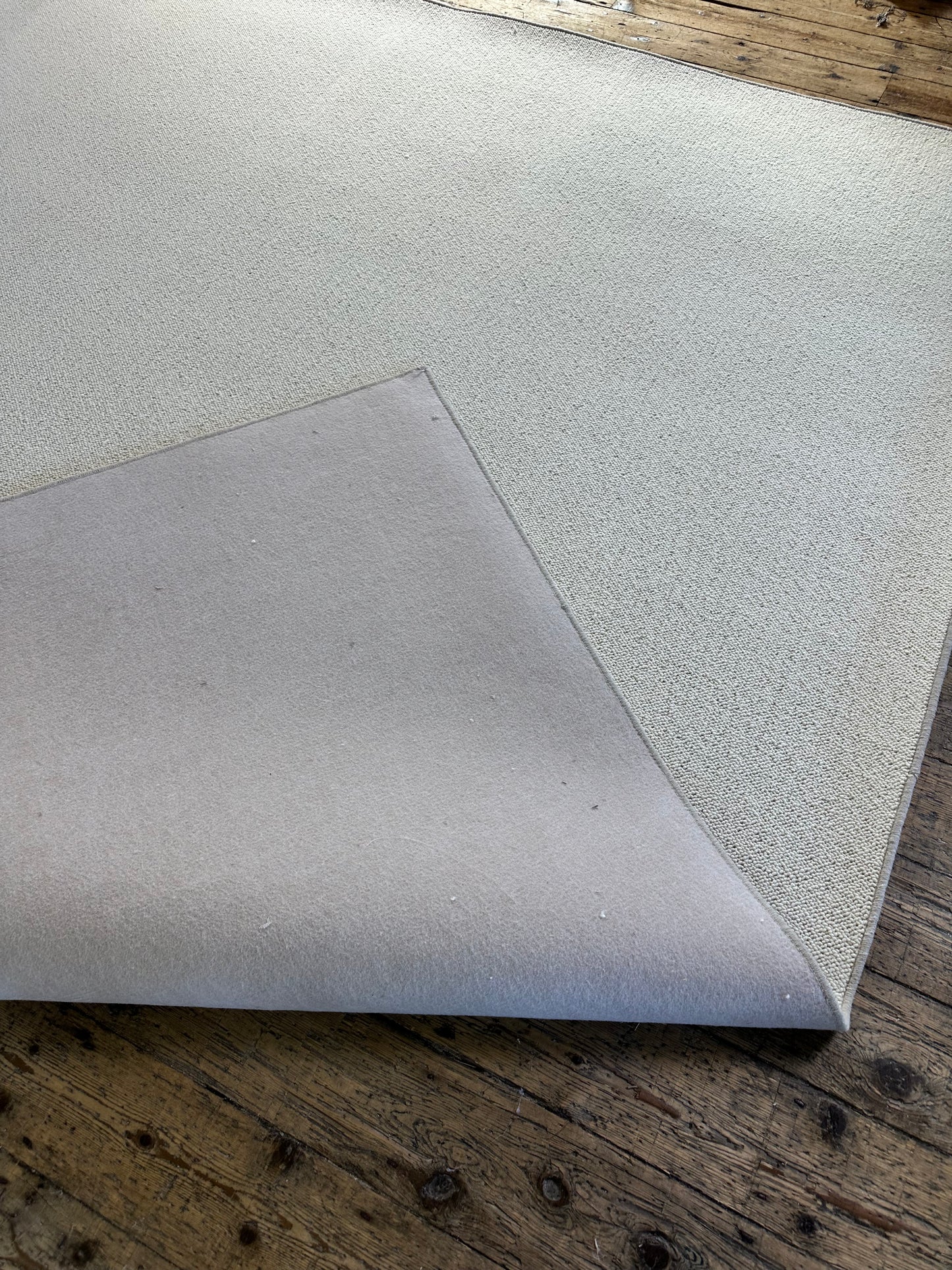 Blanc Ivoire 100% wool rug 288cm x 340cm