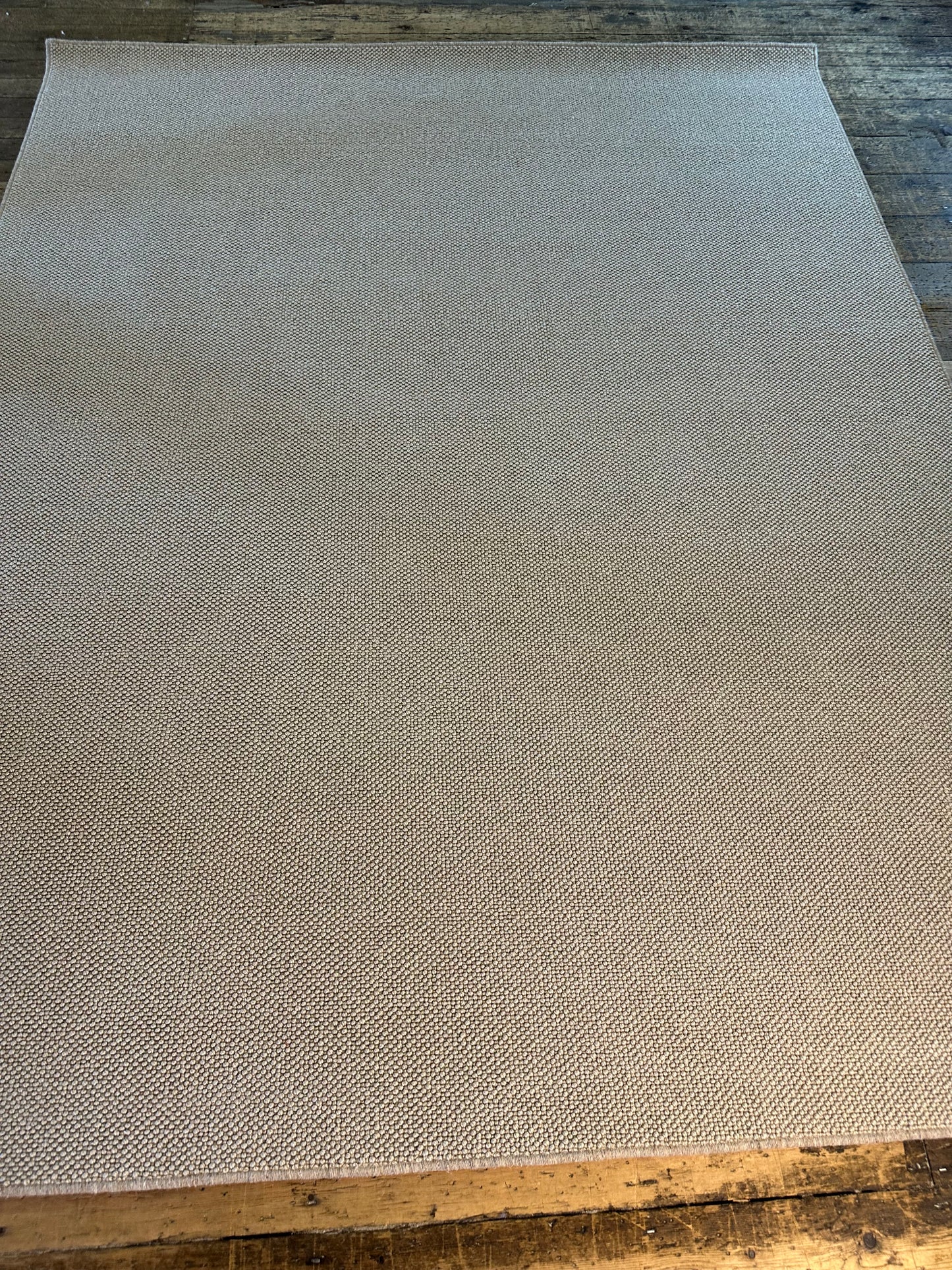 Harvest Crop 100% wool rug 210cm x 265cm