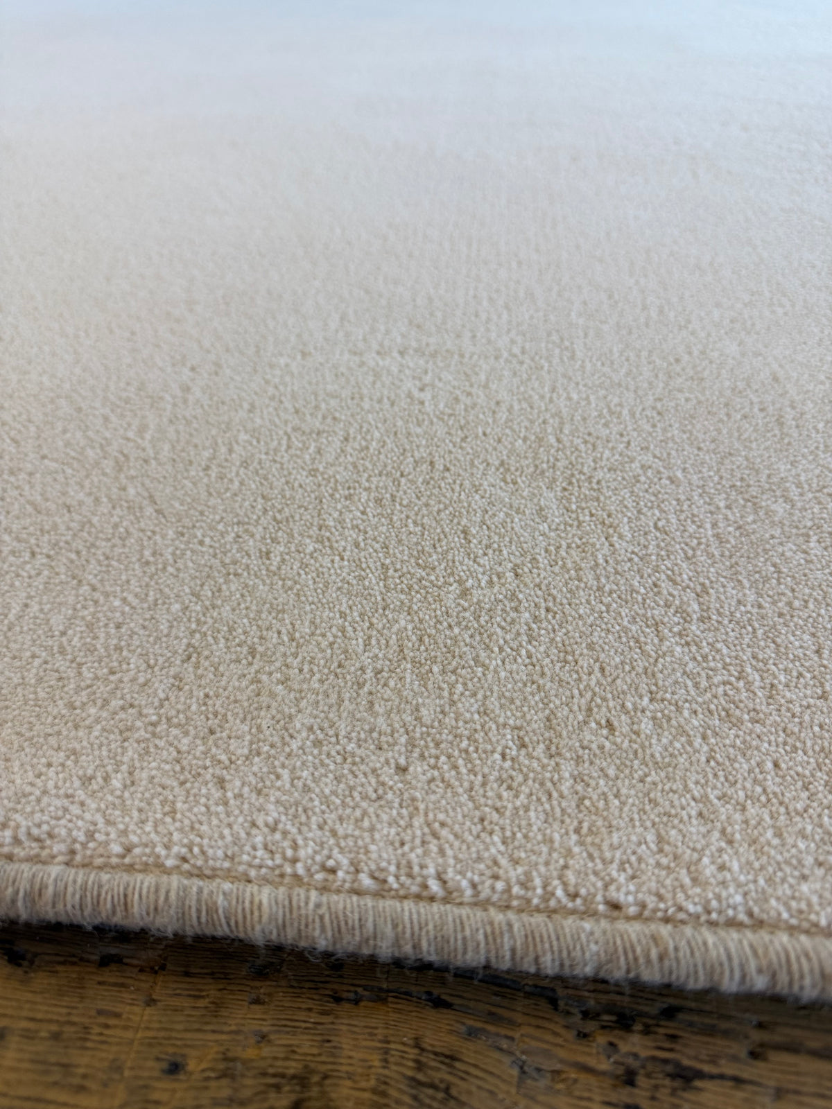 Shell 80/20 wool twist rug 256cm x 300cm