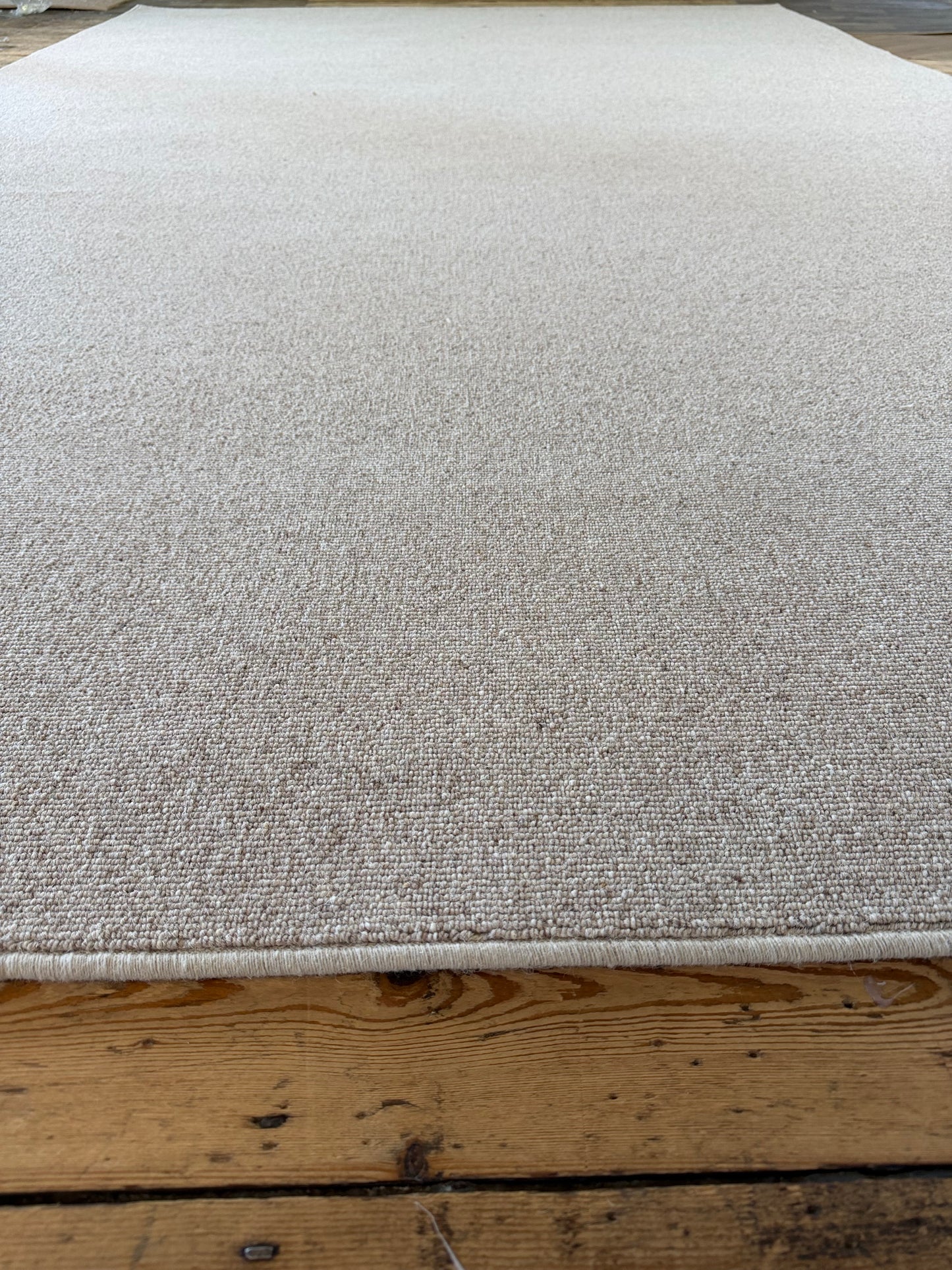 Biscotti 100% wool rug 230cm x 374cm