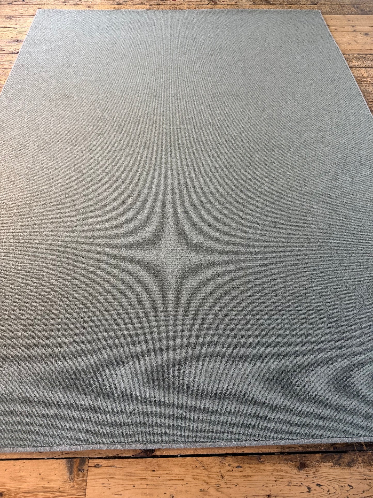 Turtle 100% wool rug 200cm x 270cm