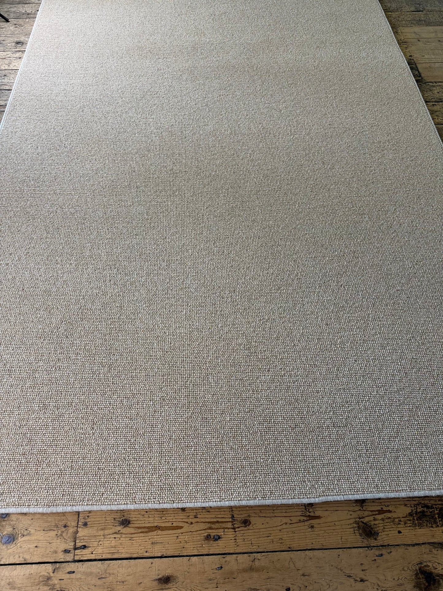 Wheaten 100% wool rug 200cm x 290cm