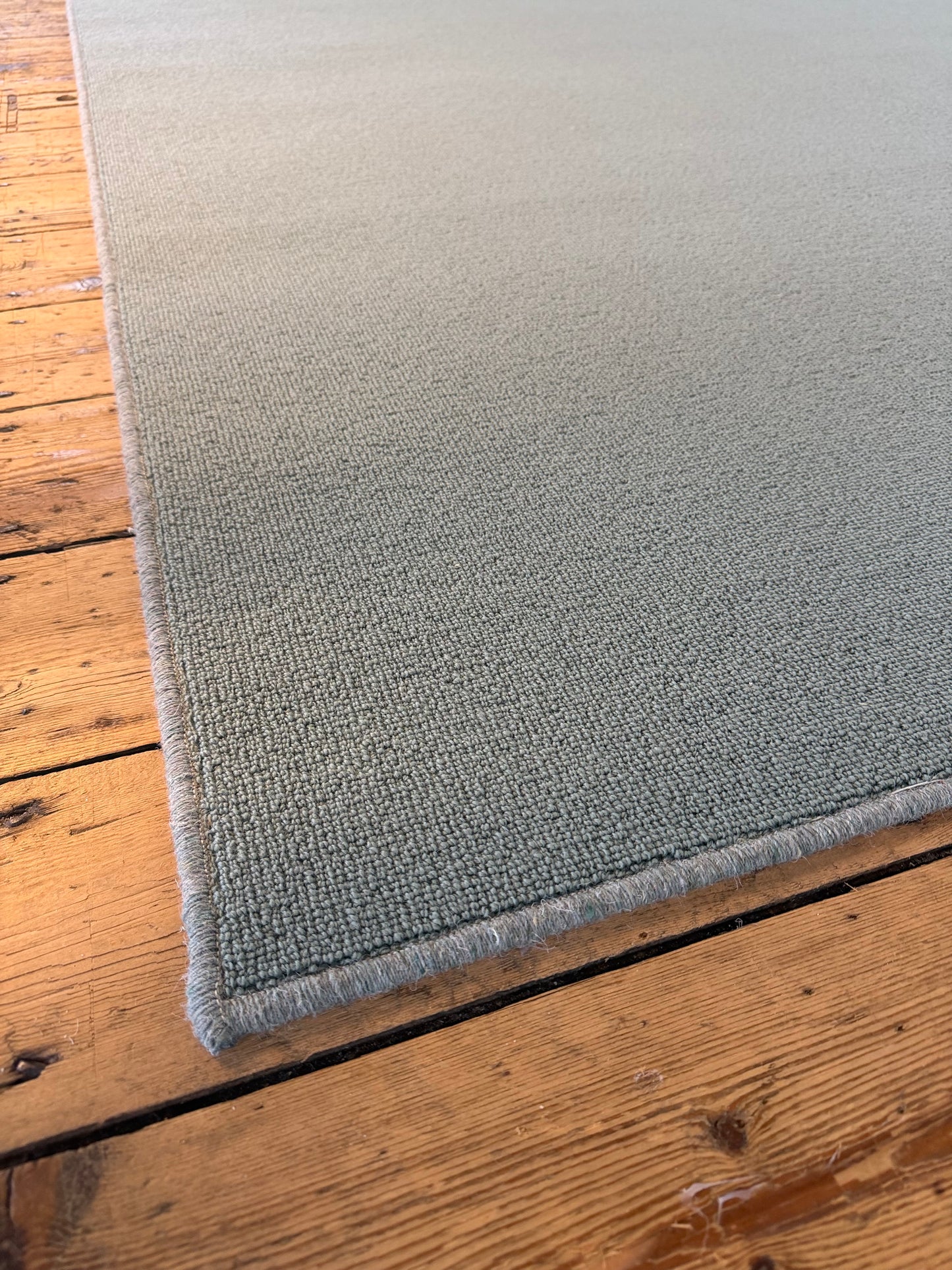 Turtle 100% wool rug 200cm x 270cm