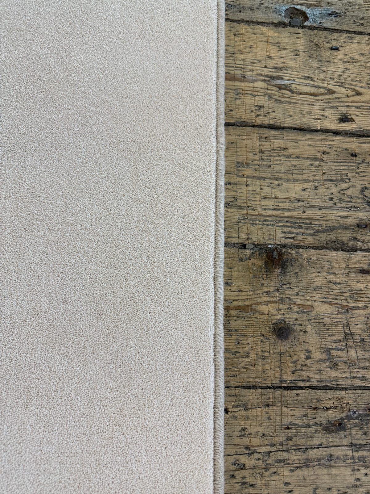 Shell 80/20 wool twist rug 200cm x 247cm