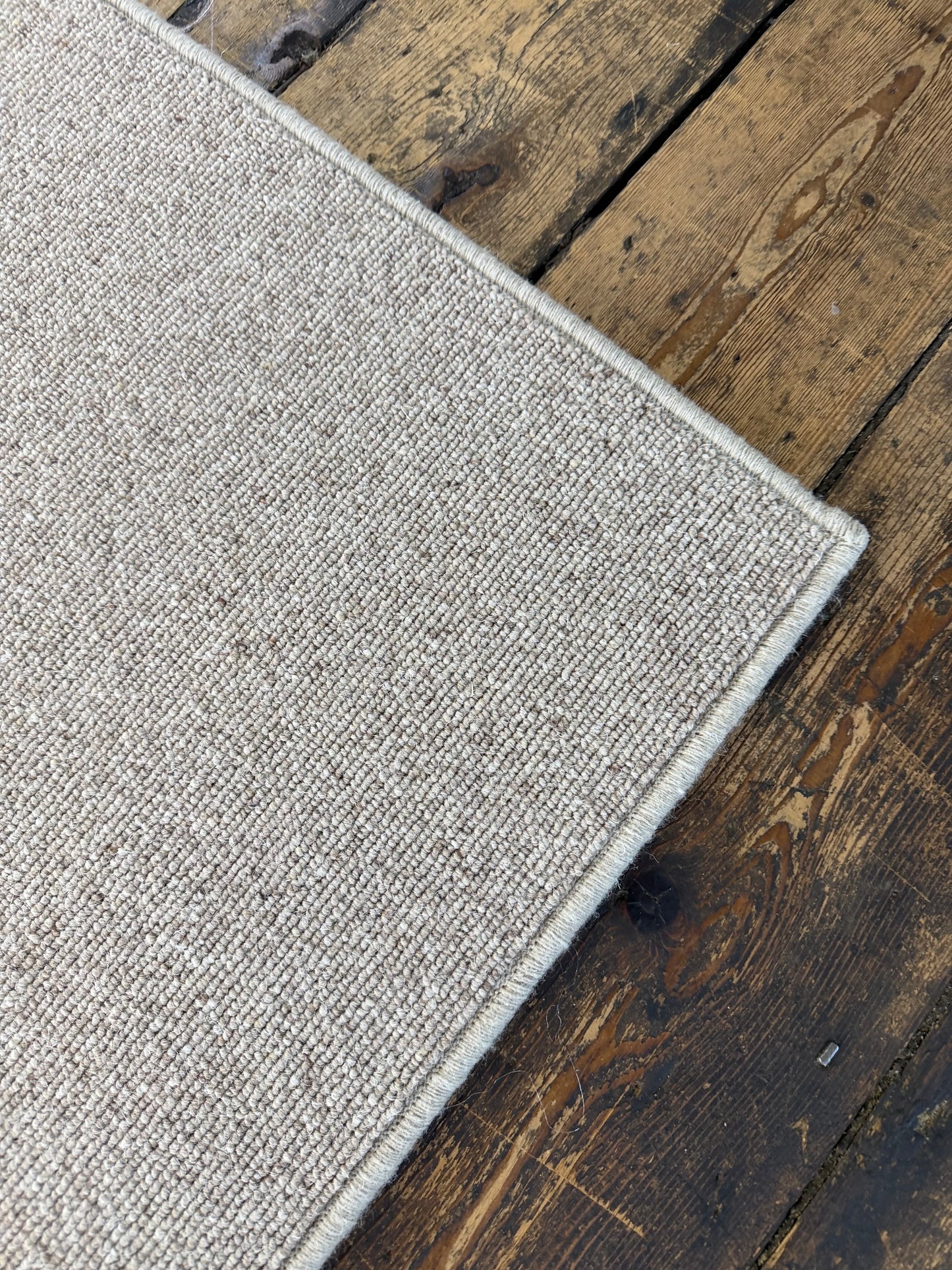 Biscotti 100% wool rug 220cm x 320cm