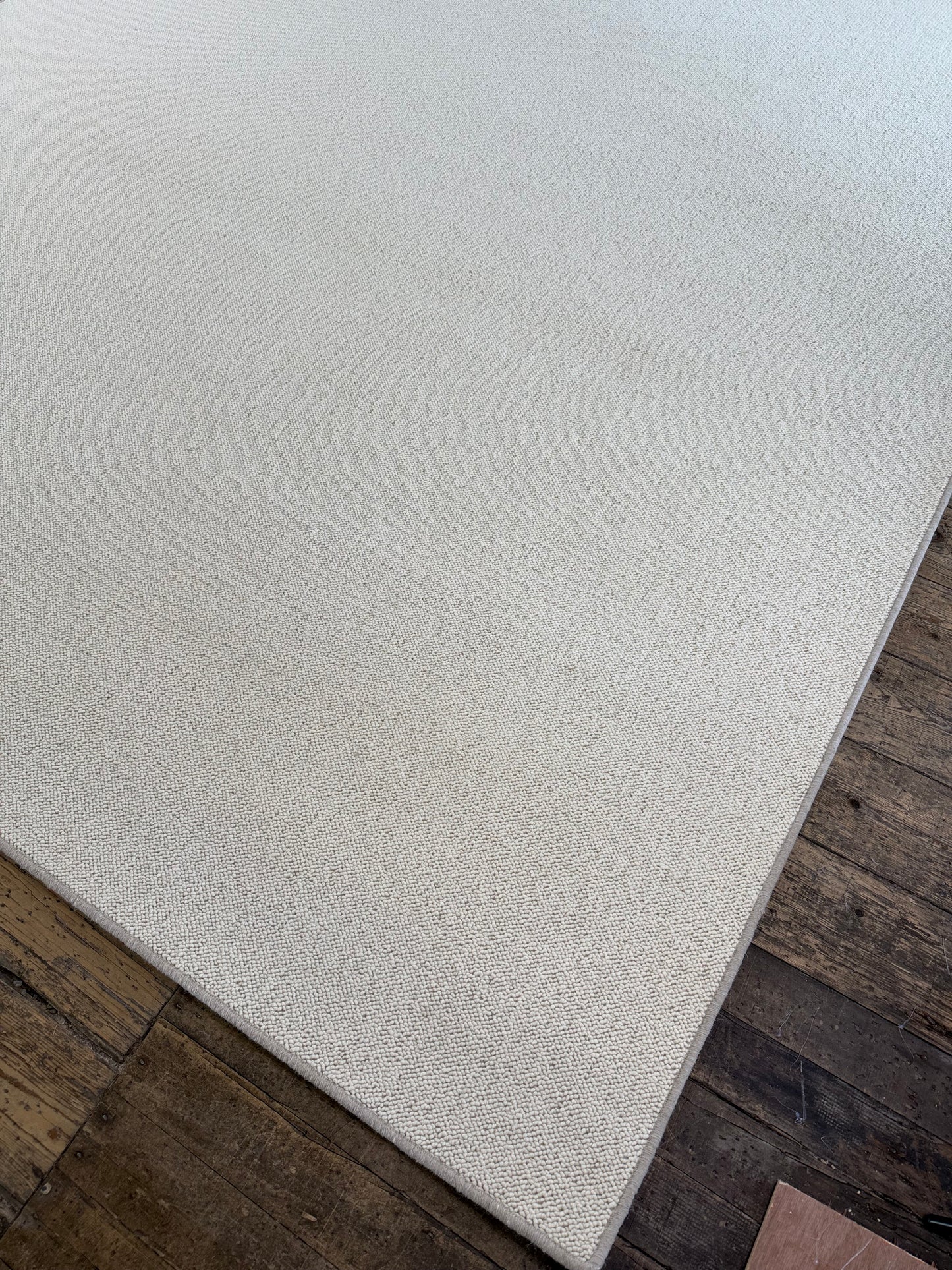 Blanc ivorie 100% wool rug 284cm x 338cm