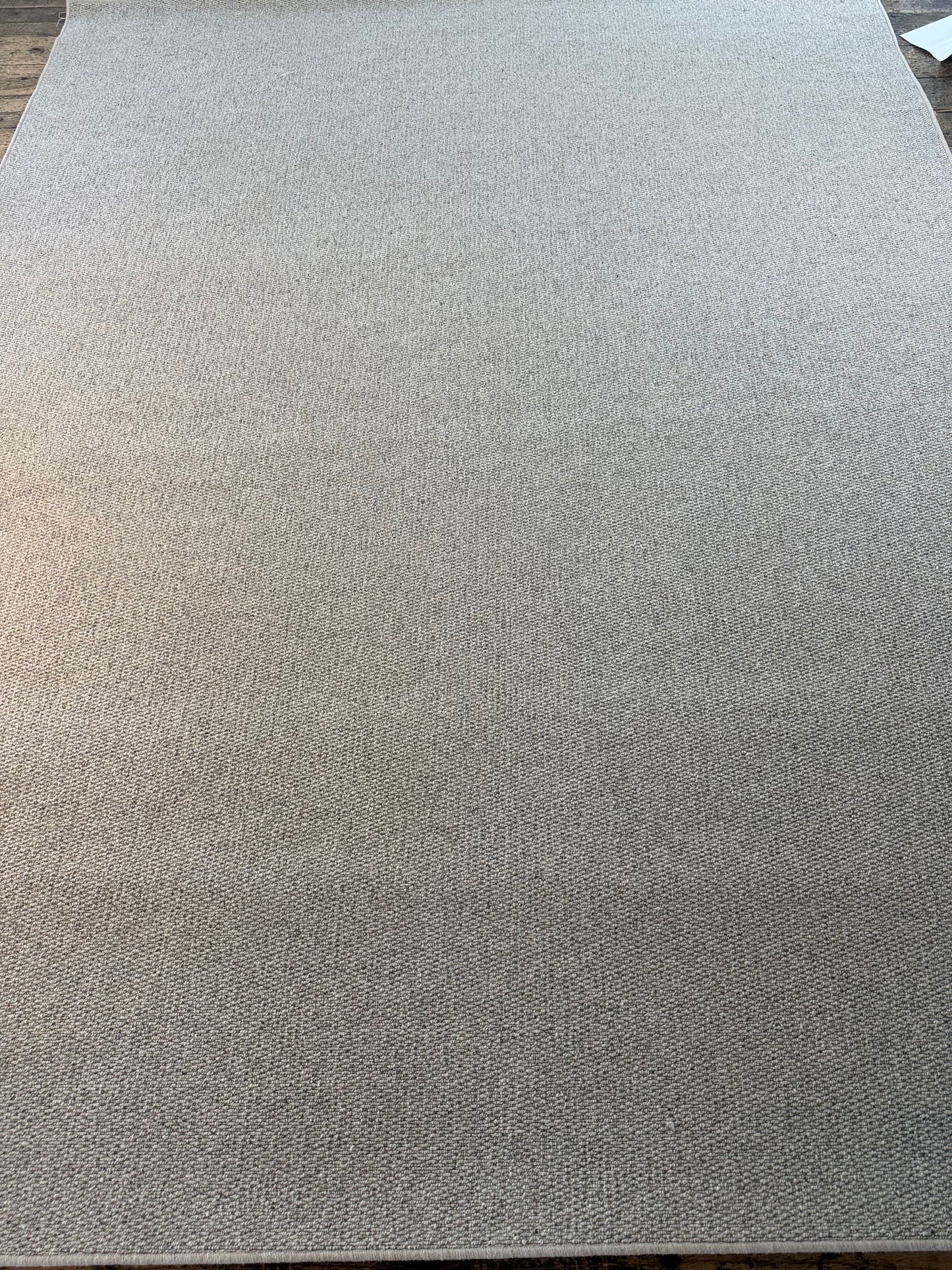 Bone 100% wool rug 250cm x 330cm