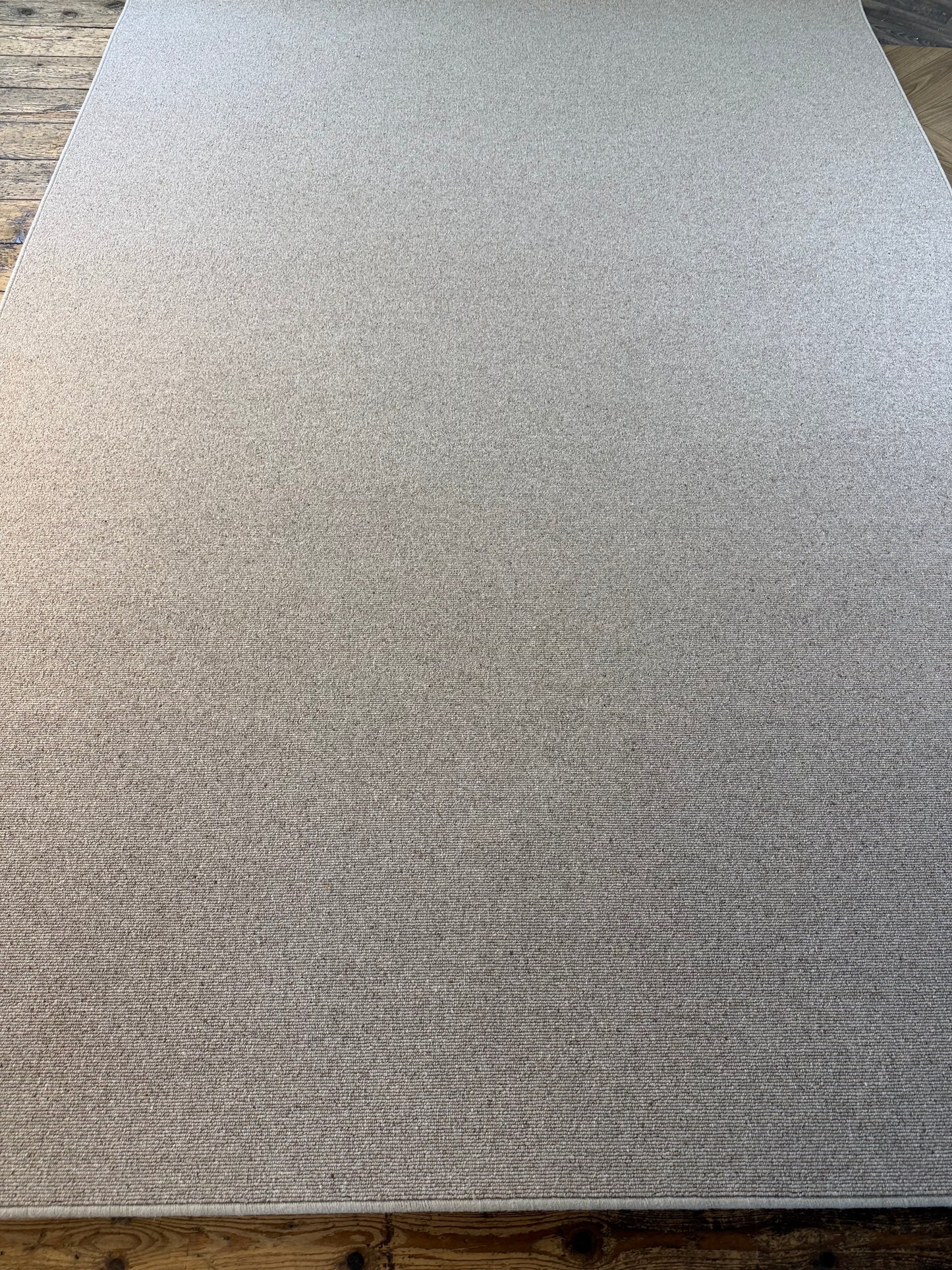 Biscotti 100% wool rug 220cm x 320cm