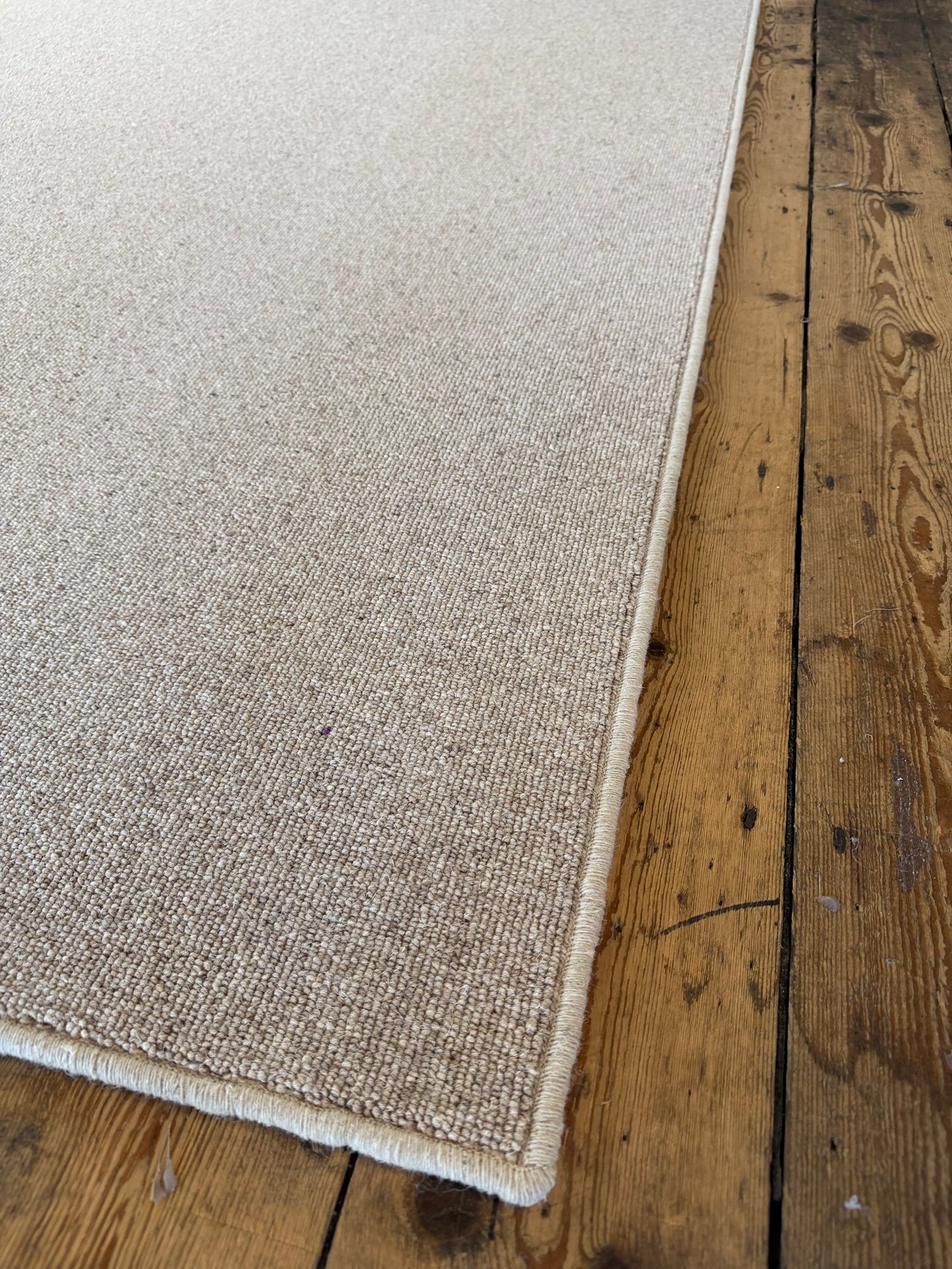 Biscotti 100% wool rug 230cm x 374cm