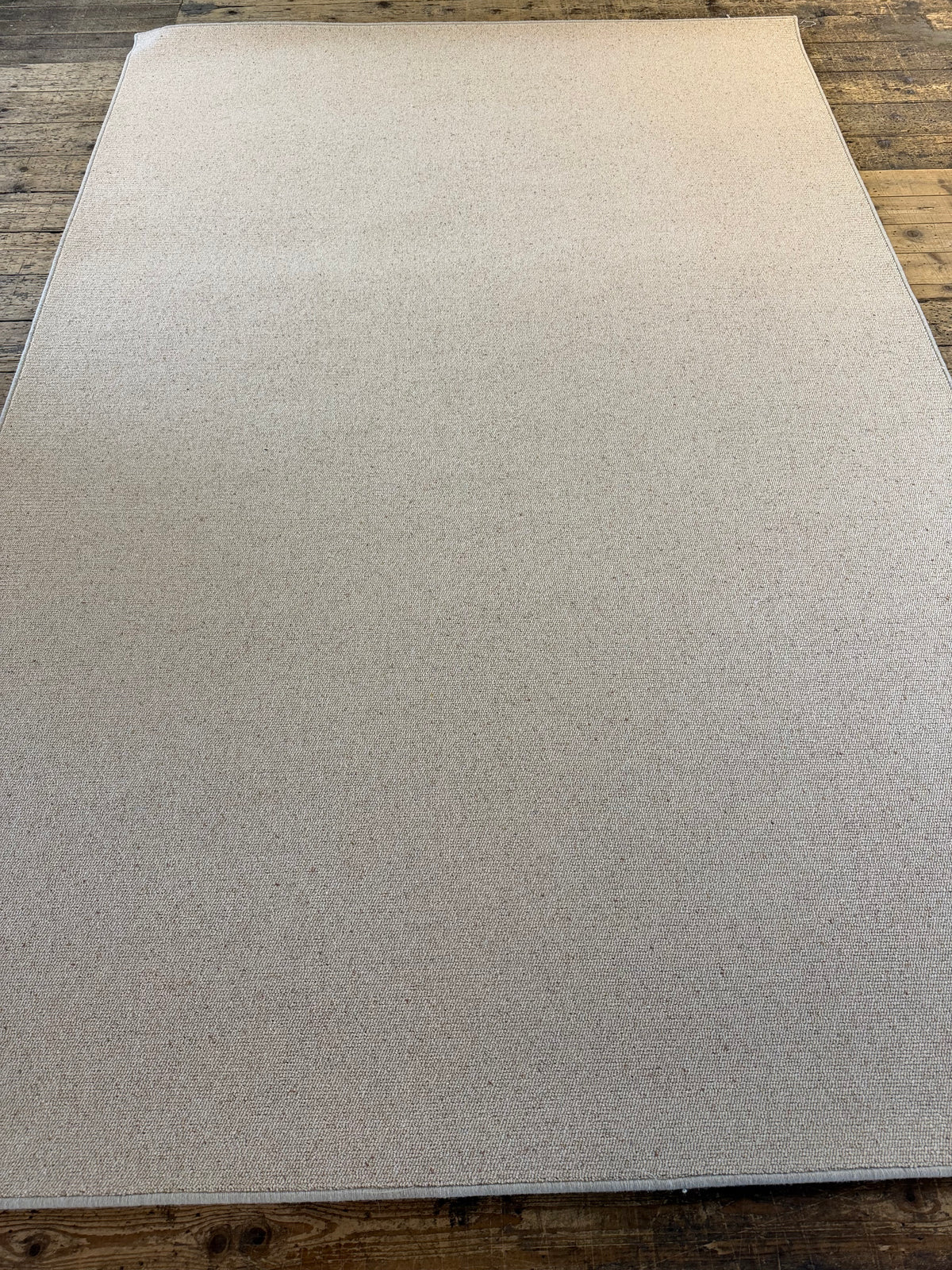 Biscuit 100% wool rug 200cm x 300cm
