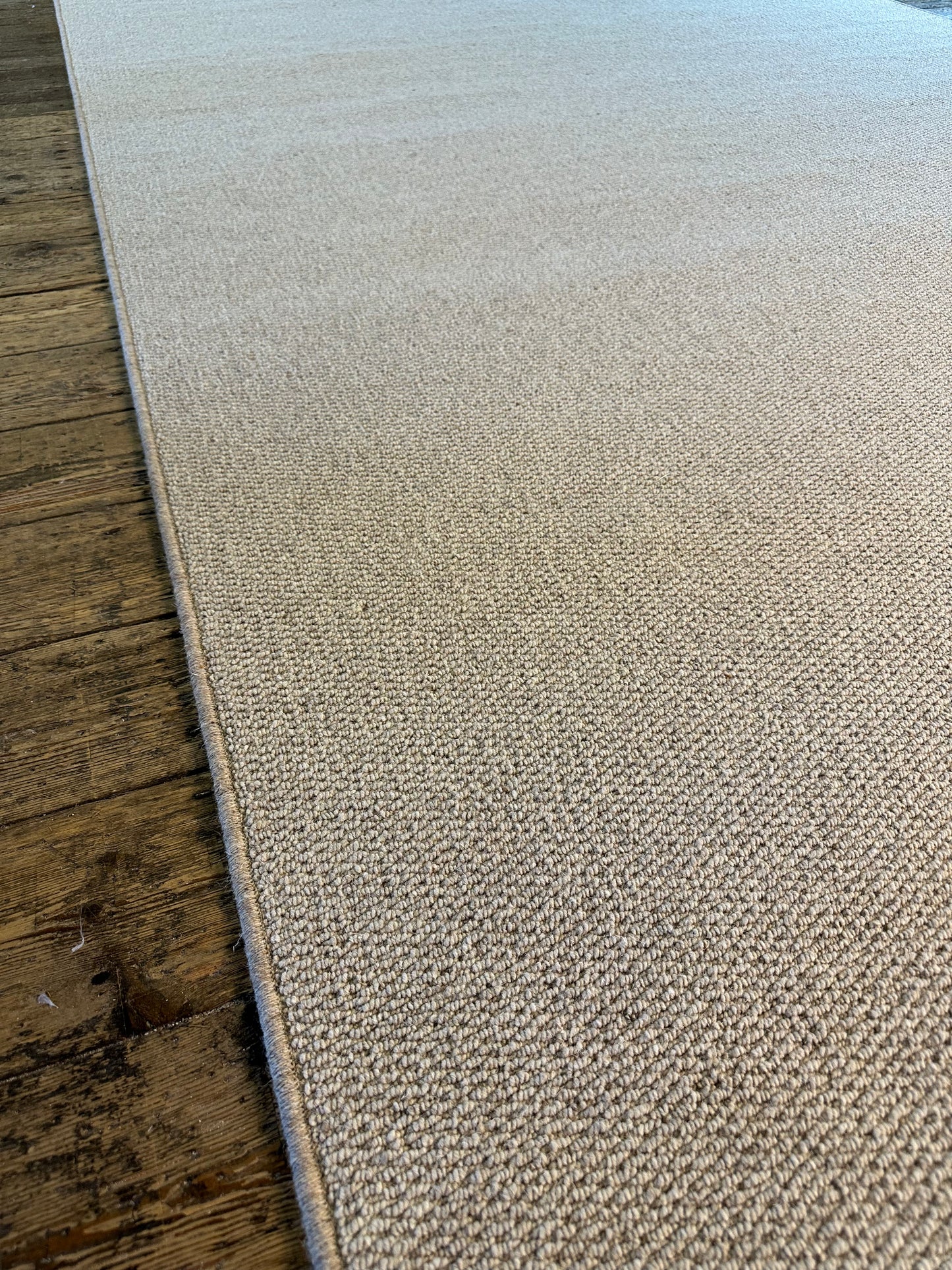 Oatcake 100% wool rug 210cm x 347cm