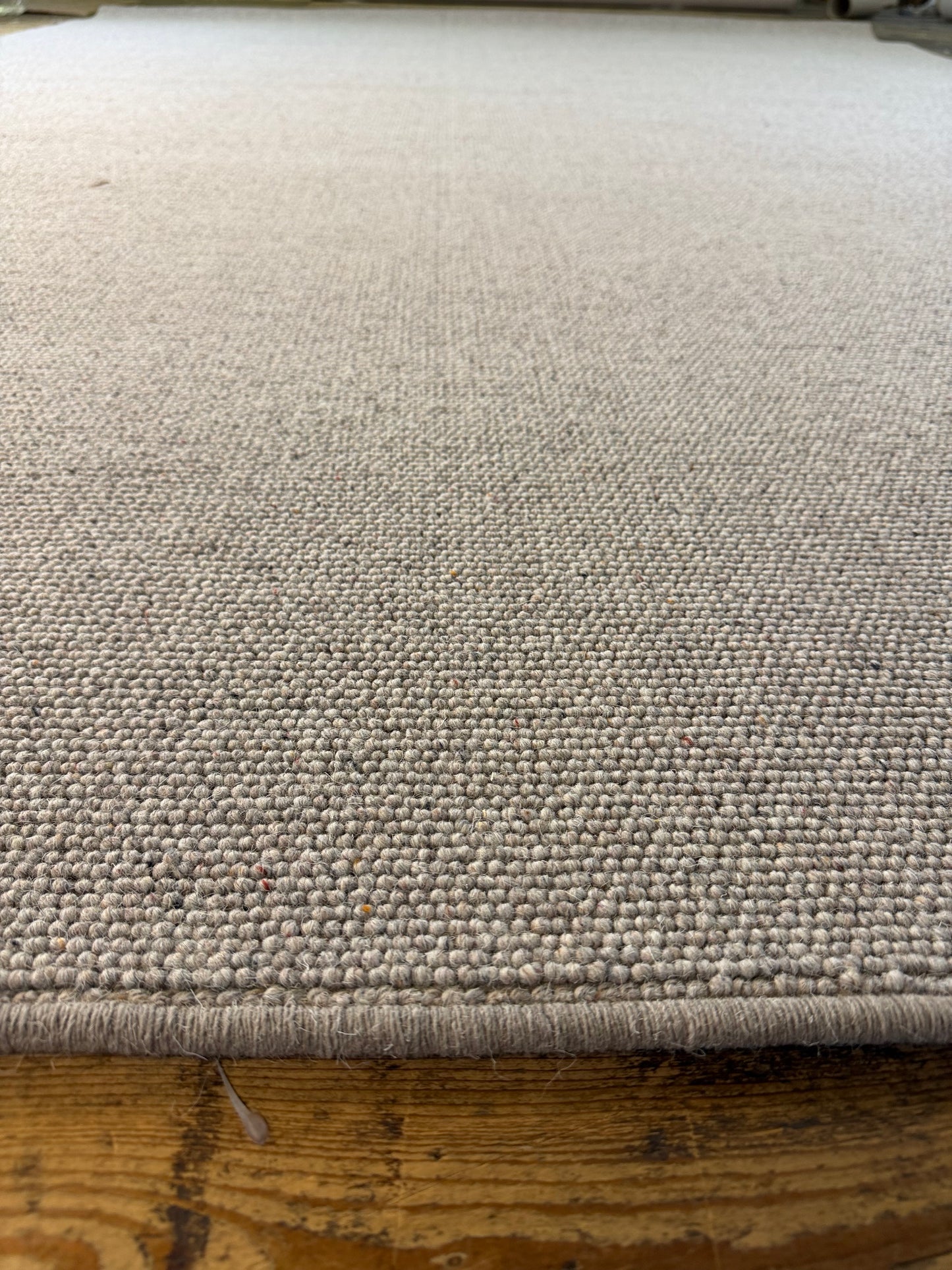Dapper 100% wool rug 260cm x 360cm