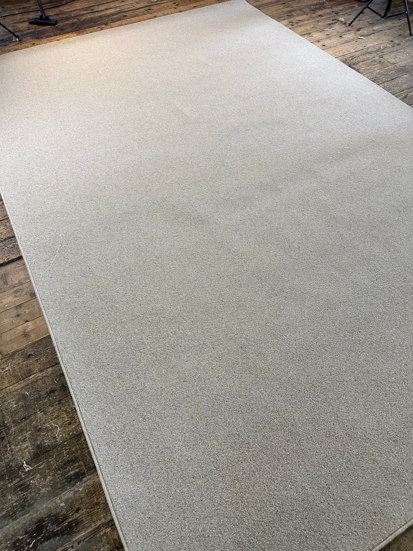 Oatcake 100% wool rug 279cm x 416cm