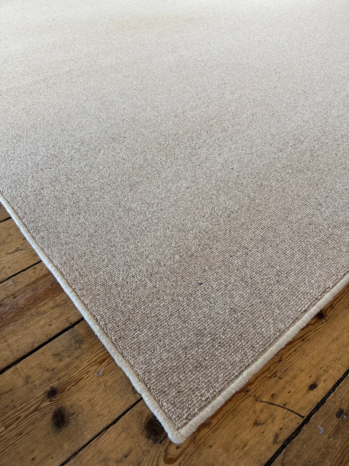 Biscotti 100% wool rug 230cm x 374cm