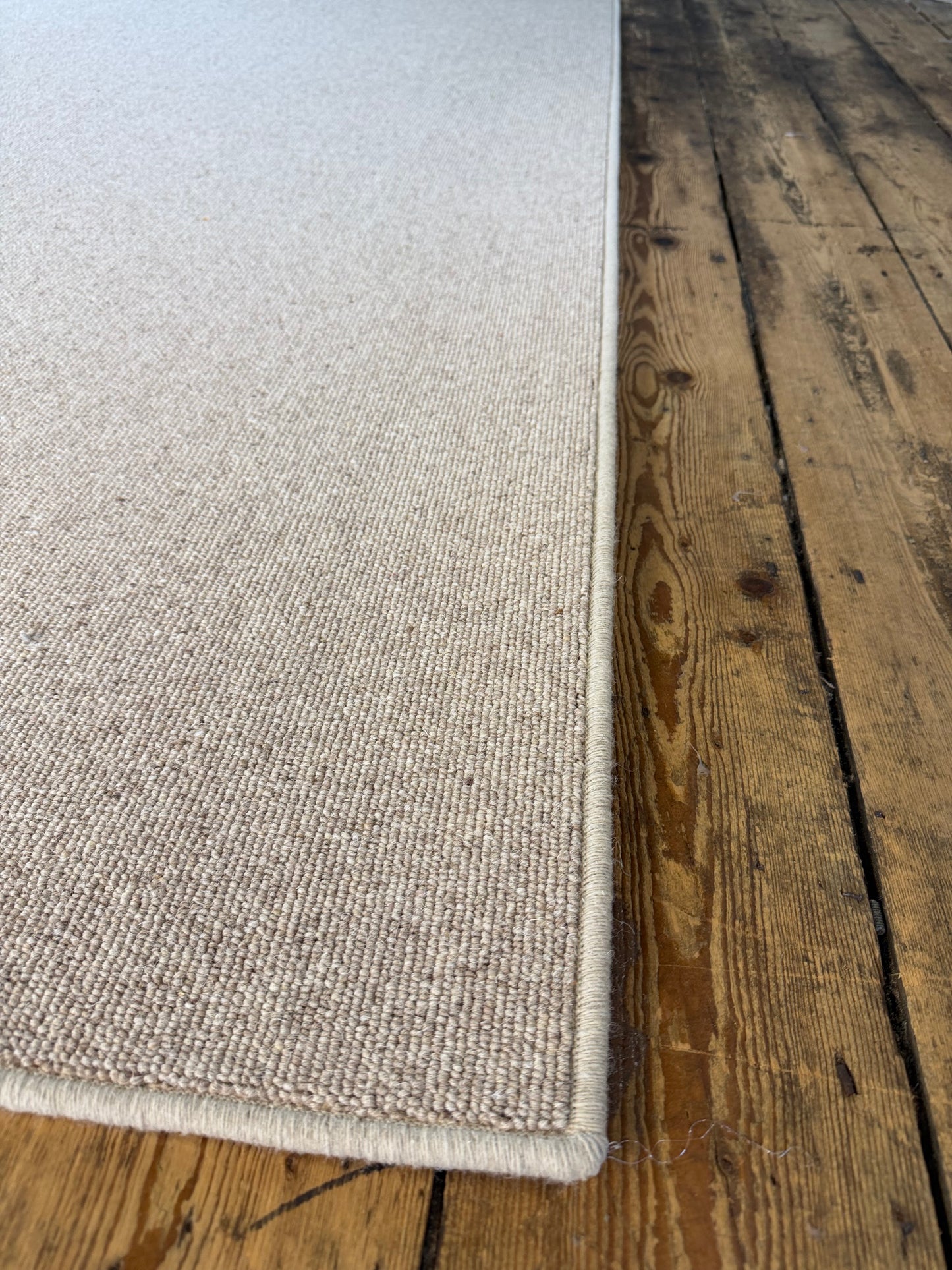 Biscotti 100% wool rug 220cm x 320cm