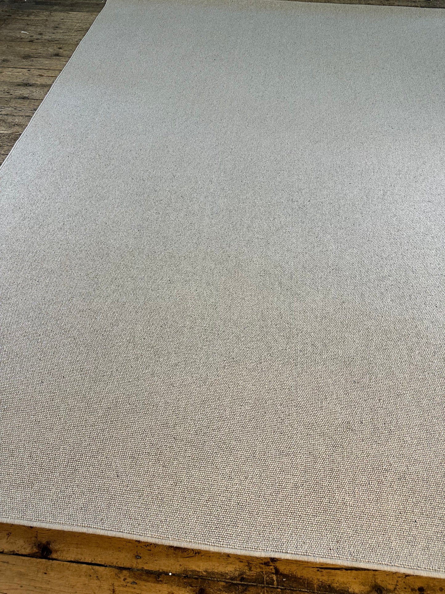 Pumice 100% wool rug 250cm x 350cm