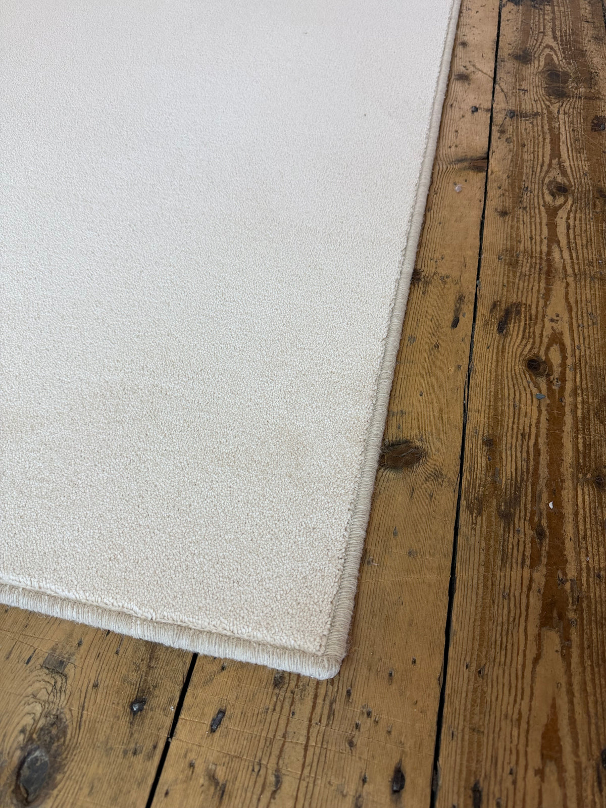 Shell 80/20 wool twist rug 256cm x 300cm