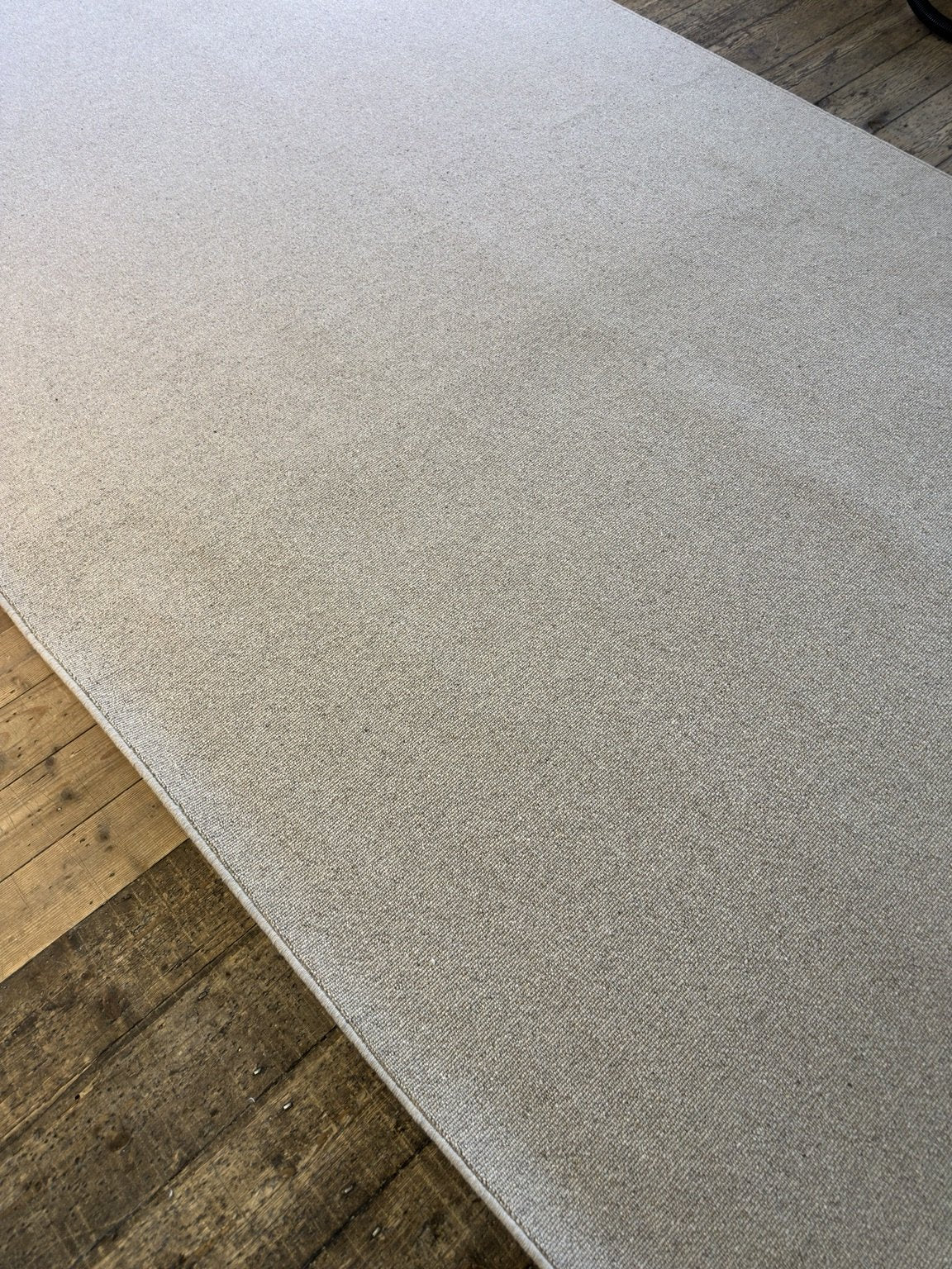 Oatcake 100% wool rug 208cm x 378cm