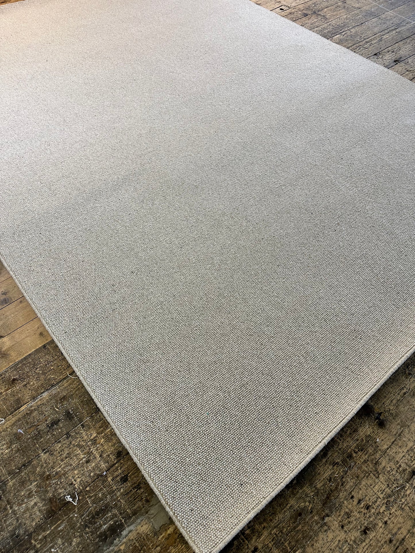 Pumice 100% wool rug 250cm x 350cm