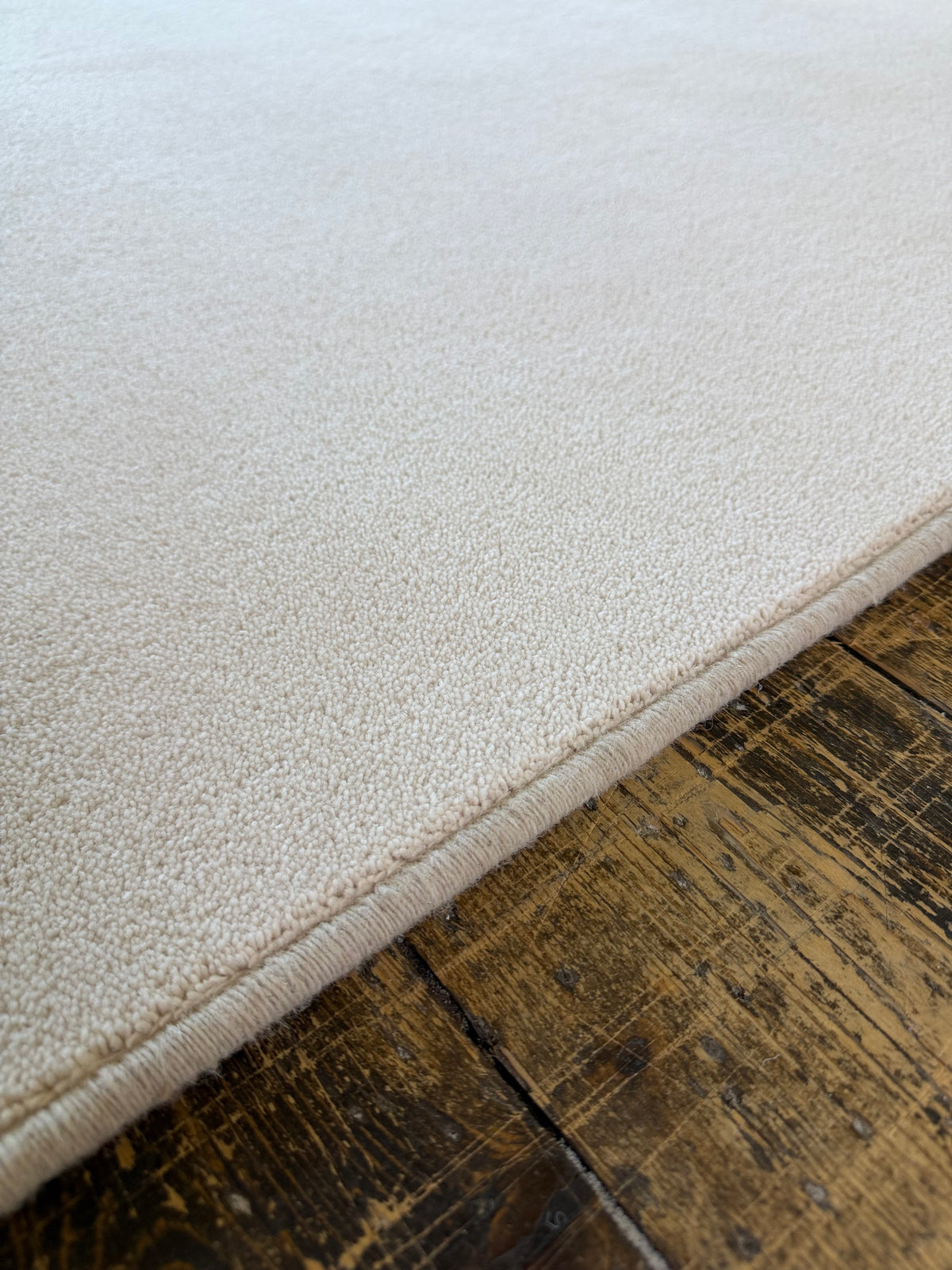 Shell 80/20 wool twist rug 200cm x 247cm