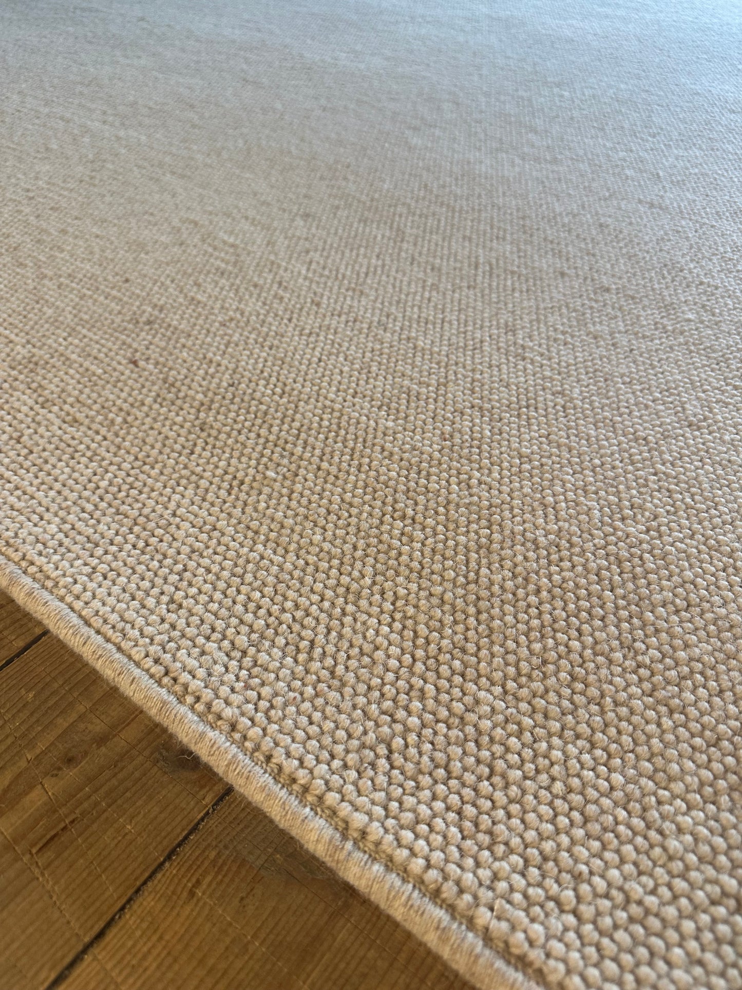 Irish Cream 100% wool rug 200cm x 300cm