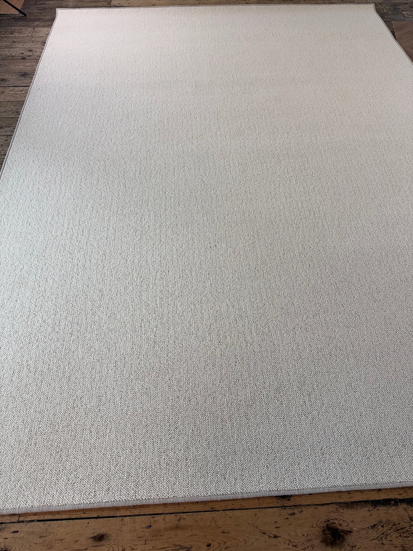 Blanc ivoire 100% wool rug 250cm x 337cm